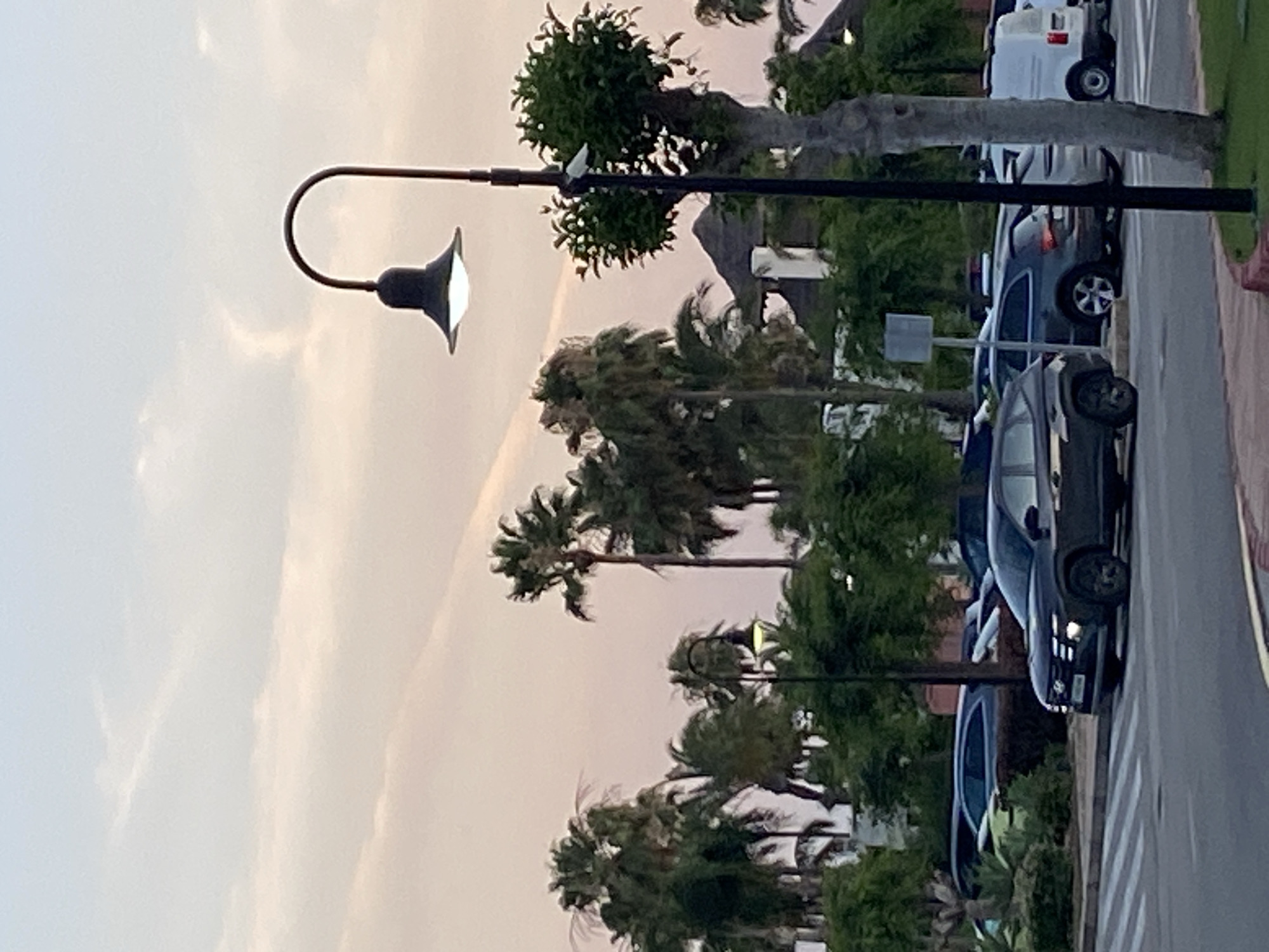 The image depicts a street scene in the city of Resinera-voladilla, Spain, during what appears to be dusk or twilight. The sky is a soft gradient of pink and pale blue, with wispy clouds. In the foreground, a dark-colored SUV is parked on the right side of a crosswalk marked with white stripes. The SUV has its headlights on. To the left of the crosswalk, the ground transitions to a paved area with green landscaping and several other vehicles parked in the background, including a white van and a grey Audi SUV. Palm trees and dense green foliage are visible throughout the scene, suggesting a warm climate. A tall streetlamp with a dark, bell-shaped fixture stands prominently on the right side of the image, partially obscuring a large tree trunk. A small white object, possibly a security camera, is attached to the streetlamp pole near a cluster of green leaves. In the distance, a building with a thatched roof and white pillars is partially visible amongst the trees. The overall impression is one of a quiet, possibly resort-like, urban environment at the end of the day.