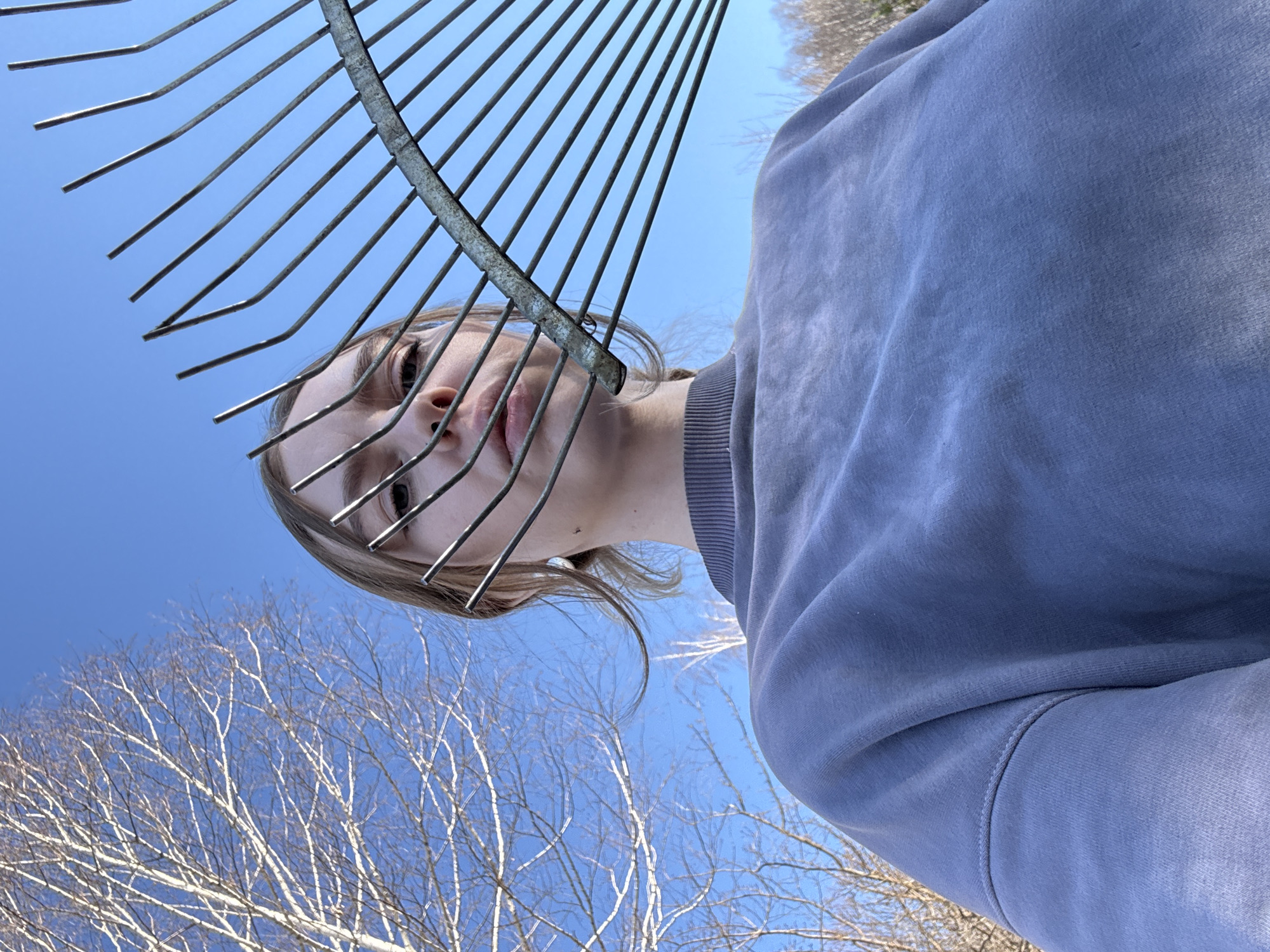 The image presents a low-angle, upward-looking shot of a person with a metal rake positioned between their face and the camera. The subject, a young person with light-colored hair, is wearing a light blue or periwinkle long-sleeved sweatshirt. Parts of their face, including their mouth, nose, and eyes, are visible through the tines of the rake, which covers most of their head and upper face.
The background is dominated by a clear, bright blue sky, indicating a sunny day. Against this vibrant sky, the intricate network of bare tree branches is distinctly visible, particularly on the left and bottom sections of the frame. The branches appear light-colored, suggesting deciduous trees like birch, which are characteristic of regions such as Krasnoyarsk, Russia, matching the provided location context. The leafless state of the trees indicates either late winter or early spring.
The unusual perspective and the placement of the rake create a distinct visual effect, possibly a playful or artistic pose. No text is visible in the media.