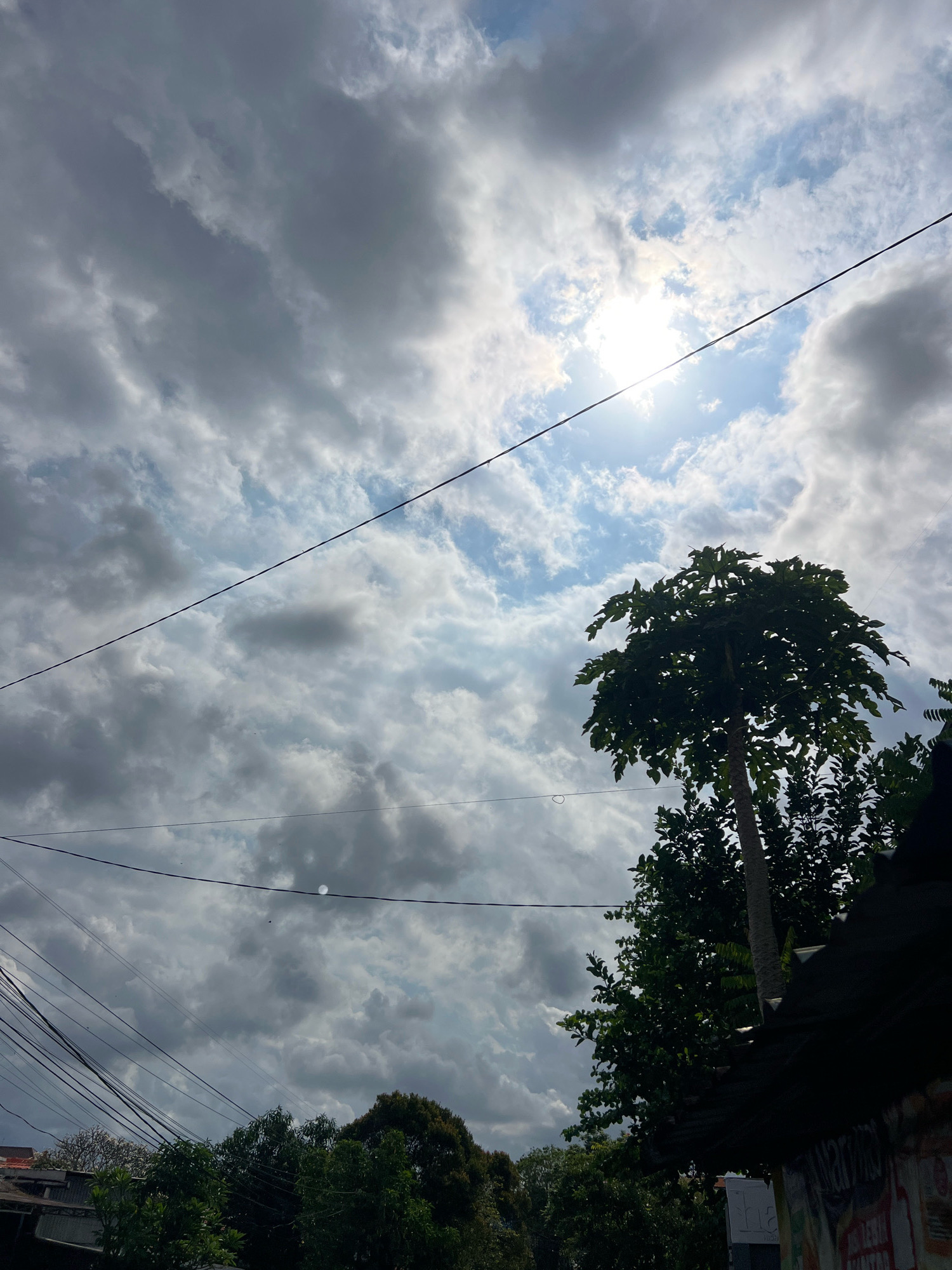 This image depicts an overcast sky over a cityscape, likely Denpasar, Indonesia, as suggested by the hints. The sky is filled with dramatic clouds, with patches of bright sunlight breaking through in the upper center. Several power lines crisscross the frame, adding a utilitarian element to the scene. In the mid-ground, a tall, slender tree with lush green foliage stands out against the sky, possibly a papaya tree. Below the tree, other greenery and the roofs of some buildings are visible, partially obscured by shadows. The overall impression is of a humid, tropical atmosphere with the sun fighting to penetrate the cloud cover.