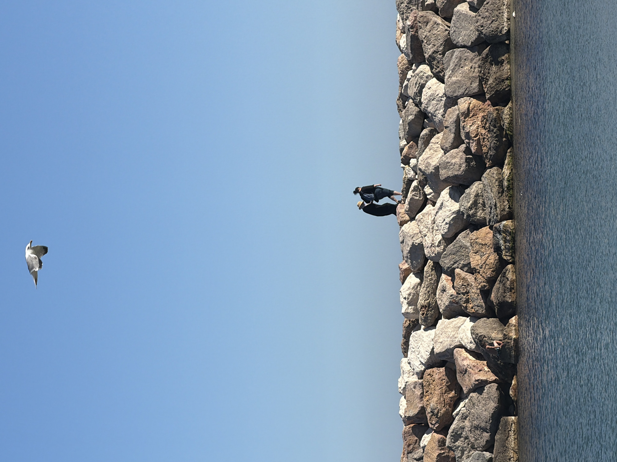 The image, when correctly oriented, depicts a serene coastal scene under a clear, expansive blue sky. A prominent rocky breakwater or jetty forms a natural boundary on the right side of the frame, constructed from large, angular stones in various shades of grey, brown, and off-white. Adjacent to this rocky barrier, a tranquil body of deep blue-grey water stretches out, exhibiting subtle ripples on its surface.
Two individuals are visible on the rocky structure, approximately halfway up from the water. One person, dressed in dark clothing, appears to be standing or sitting, facing away from the viewer. Closer to the water's edge, a second person, also in dark attire and wearing a light-colored straw hat, is positioned. A long, distinct shadow of this individual, including their hat, is cast onto the rocks and partially onto the water, indicating strong overhead sunlight. They seem to be observing the water or relaxing in the bright conditions.
In the upper left quadrant of the cloudless sky, a white and grey seagull is captured in mid-flight. The scene is bathed in bright sunlight, suggesting it is either midday or early afternoon. The weather is clear and calm, contributing to a peaceful atmosphere. This coastal setting is located in Toulon, France. There is no visible text in the image.