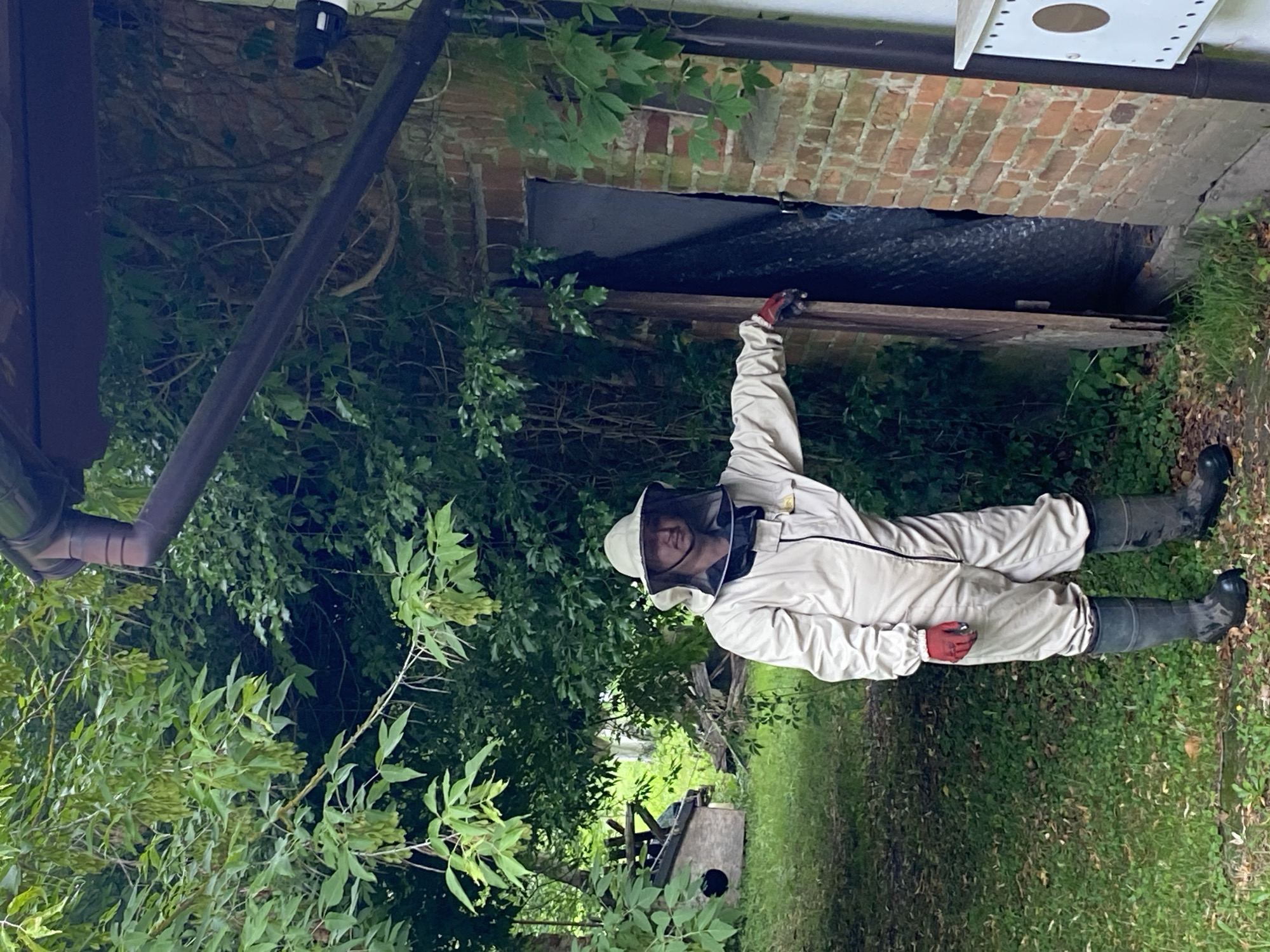In Albertowsko, Poland, a person wearing a full beekeeper's suit, including a veiled hat, light-colored protective clothing, red gloves, and dark rubber boots, stands outdoors. The individual is positioned near an open wooden door set into a brick building. The person's right hand rests on the edge of the door, and they are looking towards the camera. The environment is lush and green, with dense foliage from trees and bushes surrounding the area. In the background, a small wooden structure with a circular opening, possibly a birdhouse or part of a beekeeping setup, is visible amongst the greenery. A dark downspout runs vertically along the side of the brick structure. The ground is covered in grass and fallen leaves.