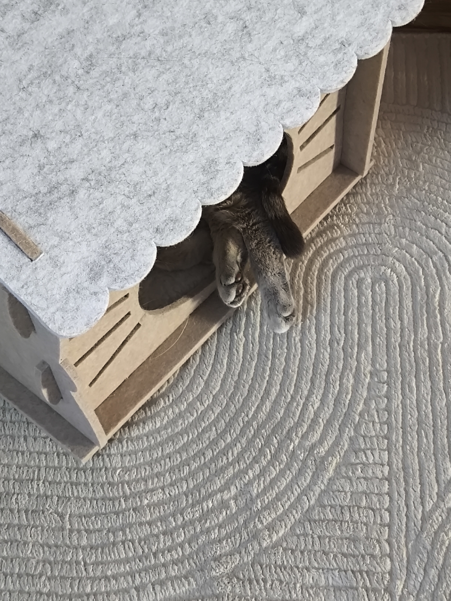 A tabby cat's hind legs and tail are visible as it enters a small, light-brown wooden cat house. The cat house has a scalloped light-gray felt roof and several decorative cutouts. The cat is partially obscuring the entrance to the house. The cat house sits on a textured, light-colored rug. The scene appears to be indoors.