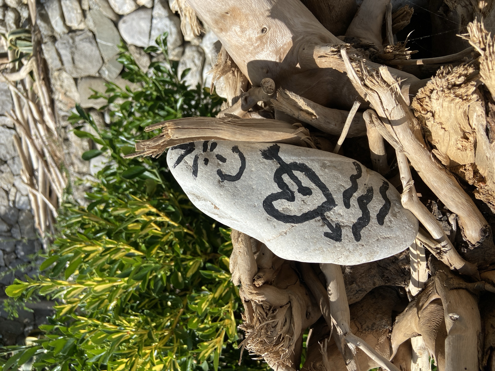 The image shows a white, oval-shaped rock with black marker drawings resting on a pile of dried, light brown driftwood. The drawings on the rock include a smiley face, a heart pierced by an arrow, and some squiggly lines. To the left of the driftwood, there is a bush with green and yellow leaves. Behind the bush and driftwood, there is a wall made of light gray stones. The location is specified as Prijevor, Montenegro. There are no people visible in the image.