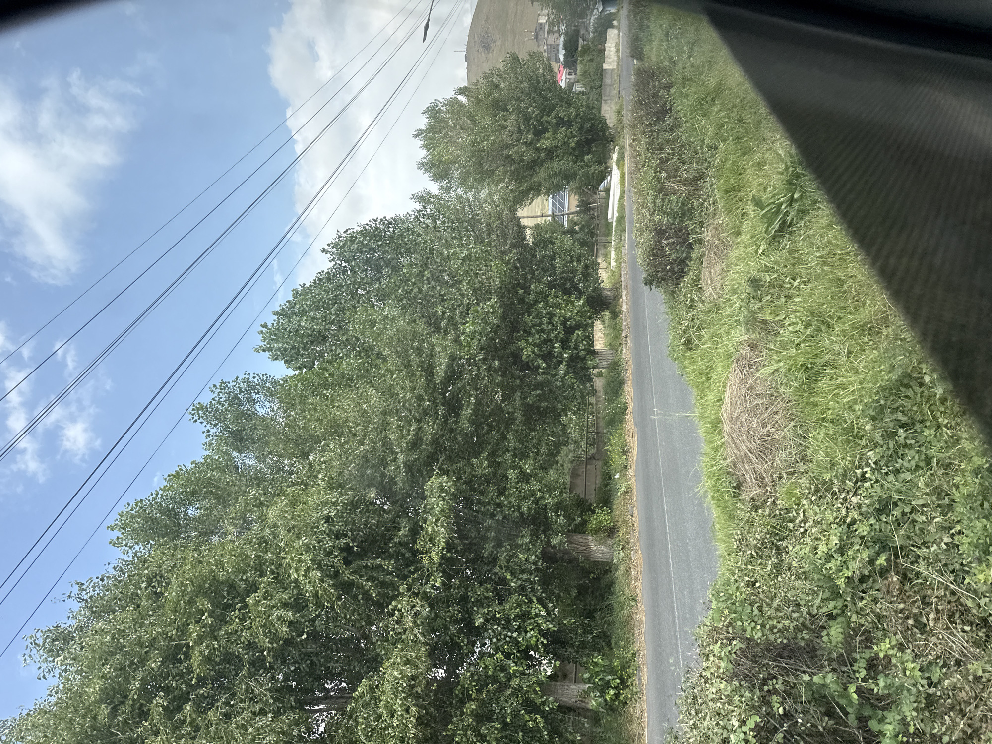 This is a medium-shot, eye-level, outdoor photograph taken from a moving vehicle, likely a car, in the city of Sevan, Armenia. The image captures a roadside scene with lush green trees lining the left side of a paved road. The road appears to be a two-lane street with a white dividing line. A low hedge and dense green vegetation border the road on the right side. In the background, buildings and a hillside are visible under a partly cloudy sky with visible power lines stretching across the frame. The overall impression is that of a rural or suburban setting on a bright, possibly warm day.