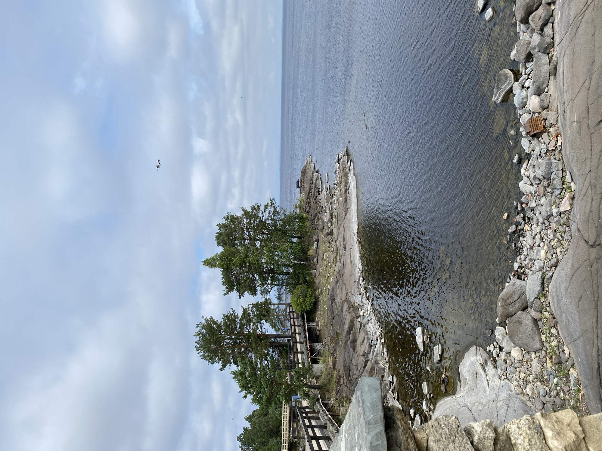 A scenic view of a lake on Valaam Island, Russia, shows a rocky shoreline with wooden bridges traversing over the water and connecting to a small island. Tall pine trees stand on the island, and a bird is visible in the cloudy sky. The water is dark and reflects the sky, with some ripples visible on its surface. The bridges are made of dark wood with railings. In the foreground, large gray rocks form part of the shoreline, and smaller stones are scattered on the beach. There are a few small green plants growing amongst the rocks. A bench is situated on a rocky outcrop in the distance.