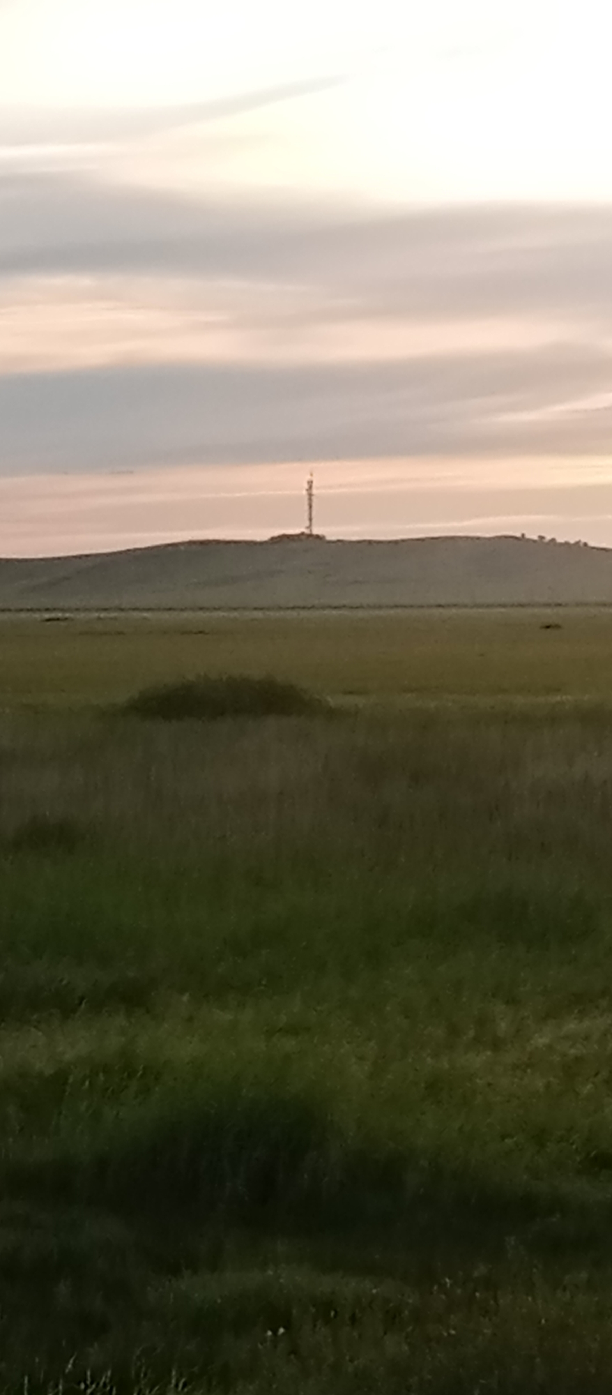 The image depicts a desolate landscape with a tall, slender radio tower silhouetted against a pale, cloudy sky. The tower stands on top of a gently sloping, grassy hill. In the foreground, a vast expanse of green grass stretches across the scene, with a small, darker patch of vegetation in the mid-ground. The overall impression is one of remoteness and quietude, with no signs of human activity other than the man-made tower. The lighting suggests either early morning or late evening, with soft, diffused light characteristic of twilight. The location is identified as Marinovka, Kazakhstan.