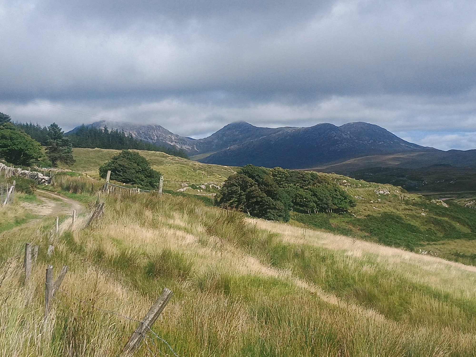 This is a landscape photograph taken on a cloudy day, depicting a rural, hilly terrain. In the foreground, a grassy slope is covered in dry, golden-brown grass, with some green patches. A rustic fence made of wooden posts and barbed wire runs diagonally across the slope. A dirt path curves up the hill on the left side of the image, bordered by a stone wall on its upper edge. In the mid-ground, there are clusters of green trees and shrubs. Beyond the hills, a mountain range stretches across the horizon. The mountains are dark blue and grey, with some parts obscured by clouds. The sky is filled with heavy, dark grey clouds, with hints of blue sky visible in the distance. The overall impression is one of a wild, natural landscape.