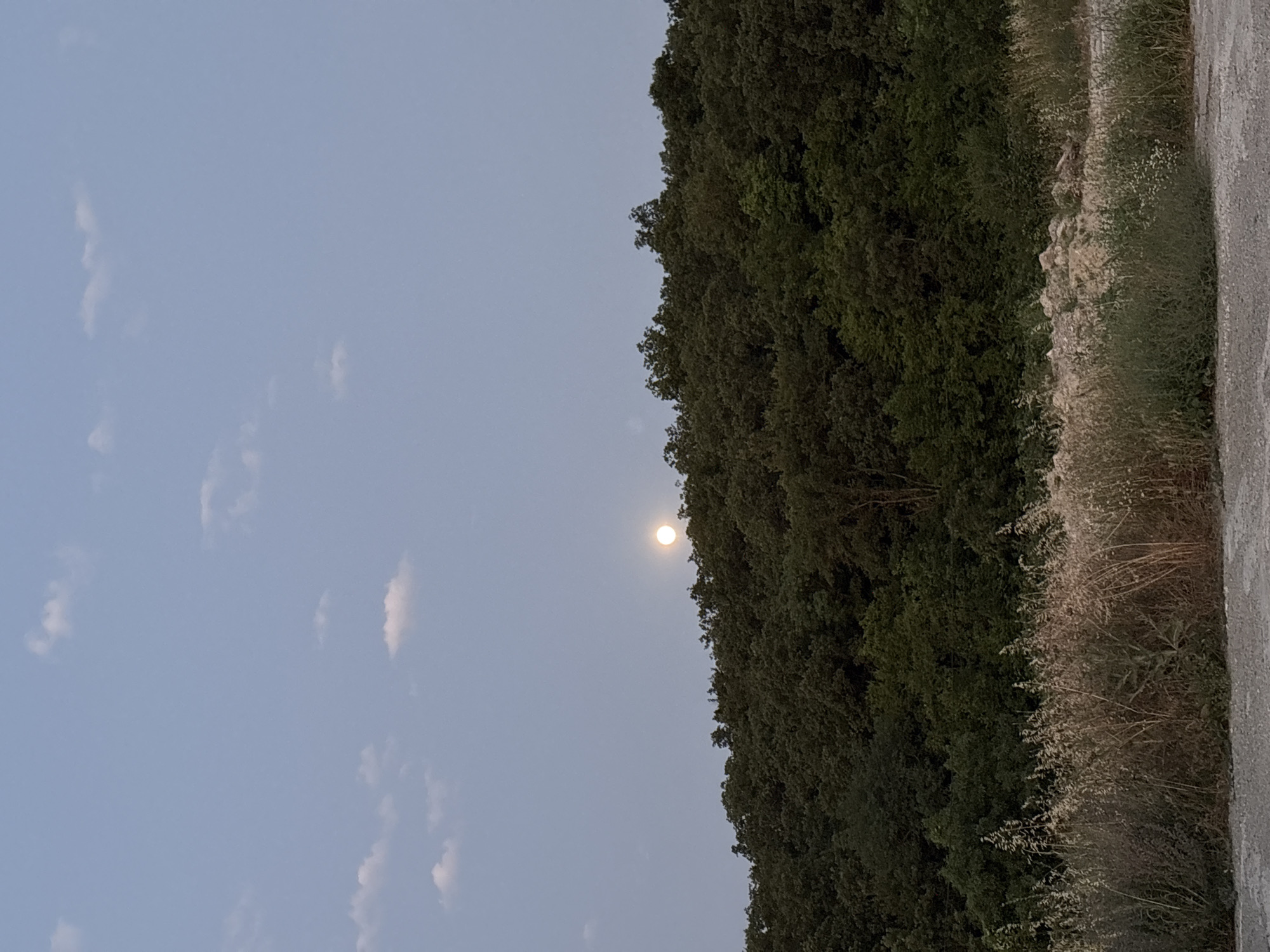 The image depicts a serene evening landscape with a full moon visible in a pale blue sky. The moon, a bright, luminous orb, is positioned just above a dense line of dark green trees that form the crest of a hill. The trees appear to be a mix of deciduous and coniferous varieties, creating a textured silhouette against the sky. In the foreground, a dry, grassy area with tall, wispy weeds and some scattered rocks transitions into a gravelly path. The overall impression is one of natural tranquility, likely captured in a rural or semi-rural setting outside of the main urban areas of Malyi Mayak, Ukraine, given the naturalistic environment. There are no people or identifiable structures present in the frame.