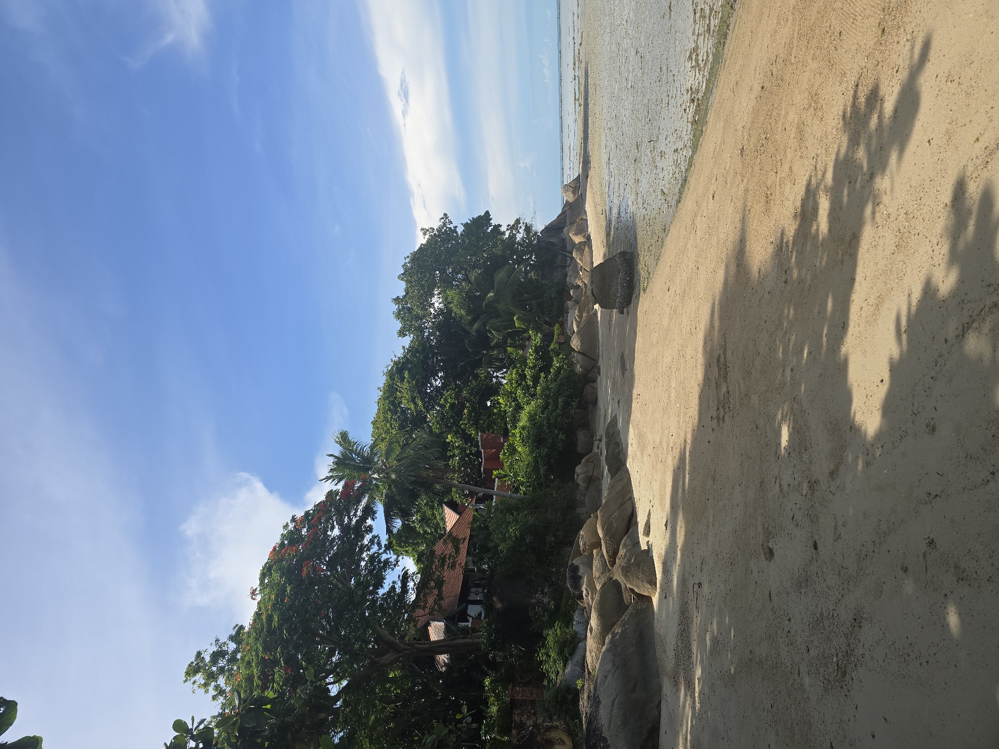 The image depicts a tranquil beach scene in Baan Chaweng Noi, Thailand. The foreground is dominated by a wide expanse of light-colored sand, casting long, dappled shadows from unseen foliage. Scattered across the sand are numerous large, smooth boulders, varying in size and shape.
In the middle ground, a dense cluster of lush green trees and palm trees rises from a rocky embankment. Among the foliage, a building with a distinctive terracotta-tiled roof is partially visible, suggesting a dwelling or resort.
The background is characterized by the calm, shallow sea, with visible sandbanks and patches of algae or seaweed. The water stretches towards the horizon, where it meets a clear blue sky dotted with wispy white clouds. The overall atmosphere is one of serenity and natural beauty, typical of a tropical coastal environment. There are no people or animals visible in the frame.