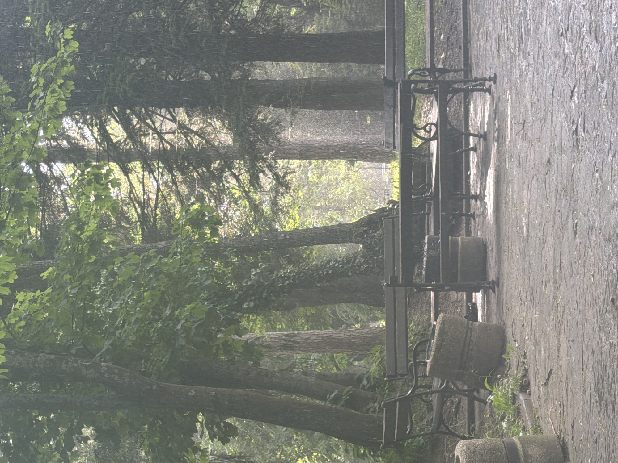 The image depicts a scene in a park in the city of Kotel, Bulgaria, likely during or after a light rain. Several benches are arranged along a paved path. The benches appear to be made of metal with concrete supports. Tall trees line both sides of the path, creating a partially enclosed space. Some branches have green leaves while others are bare. The background is shrouded in mist, and light filters through the trees. The ground appears damp.