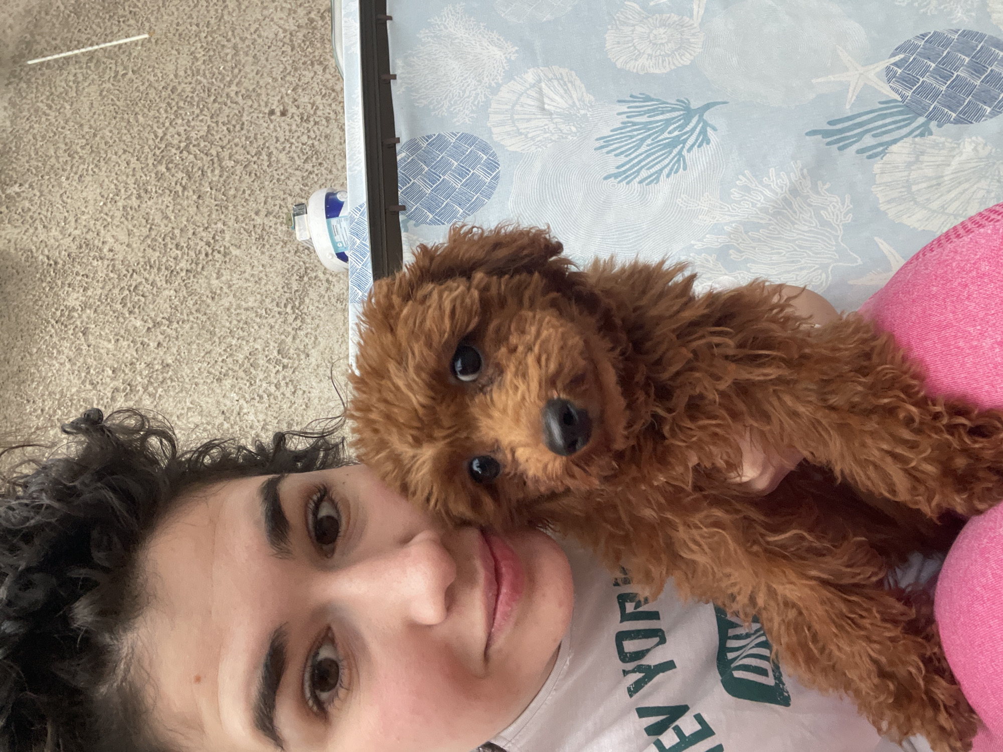 The image captures a close-up, tilted portrait of a person and a small dog indoors in Sofia, Bulgaria. A young woman with dark, curly hair and dark eyes is visible on the left side of the frame, lying down and looking towards the camera with a gentle expression. She is wearing a light-colored t-shirt, with partial text visible that includes "YORK" and "EN", possibly part of a phrase like "NEW YORK".
Cradled against her and resting on her chest is a small, fluffy dog with rich brown, curly fur, likely a poodle or poodle mix. The dog is looking directly at the camera with large, dark eyes and a black nose. The person's arm can be seen supporting the dog.
The background features a light blue sheet or blanket patterned with white and light blue marine motifs, including various types of seashells, coral, and starfish. A textured, light brown carpet is visible on the left side of the frame. A small white and blue object, possibly an electronic device or charger, is also on the carpet near the edge of the patterned sheet. A bright pink fabric, which could be part of clothing or another blanket, appears in the lower right corner. The lighting suggests a bright daytime setting, and the overall mood is warm and affectionate.