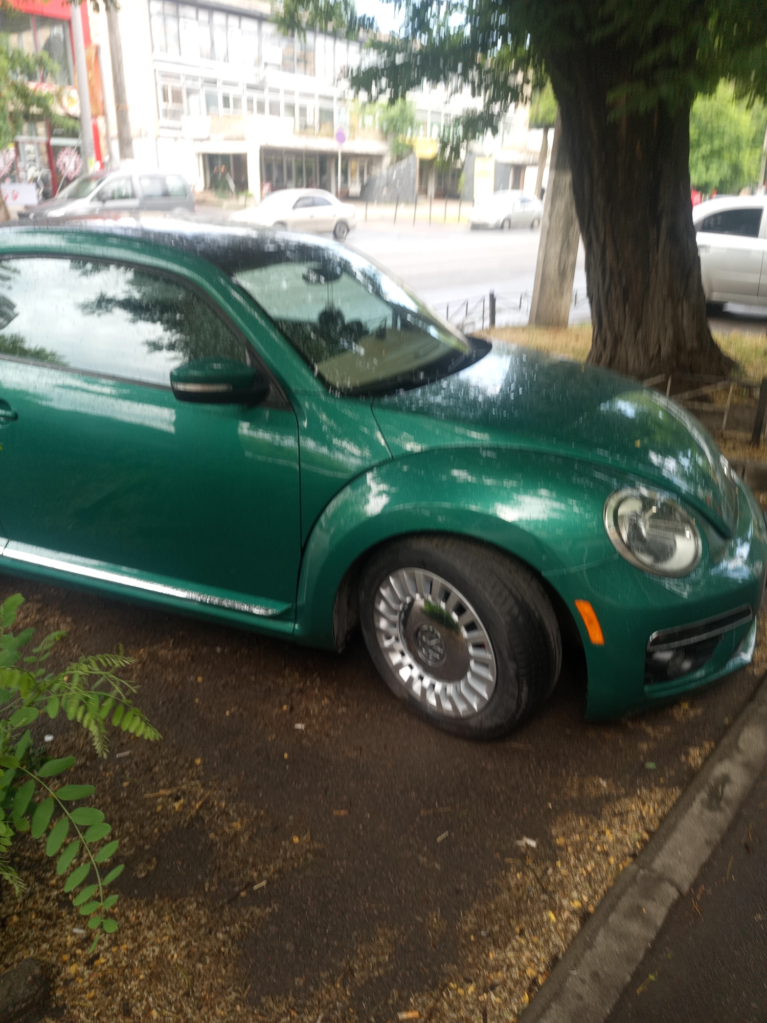 A green Volkswagen Beetle is parked on a city street in Odesa, Ukraine. The car is wet, indicating it has recently rained or is currently raining. The vehicle is positioned on the right side of the frame, with its front partially visible. A large tree with rough bark stands to the right of the car, casting a shadow. In the background, buildings line the street, and other vehicles are visible. The ground is covered with a mixture of dirt, small stones, and fallen leaves. Green foliage is present in the lower left corner of the image. The sky appears overcast.