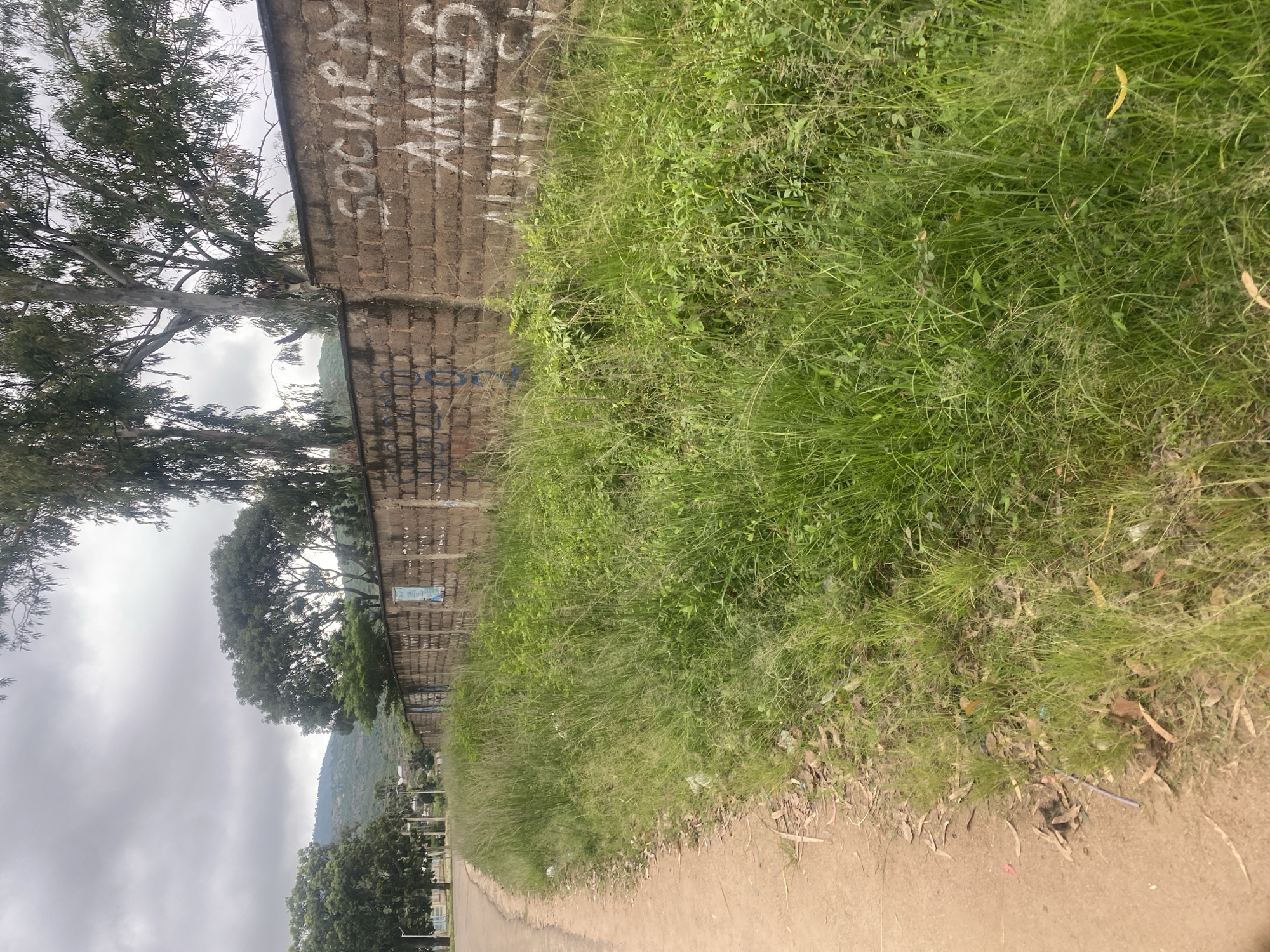 The image depicts an overcast day in Yelwa, Nigeria, with a brick wall in the mid-ground. The wall is adorned with graffiti, including the words "SOCIAL" and "AMOS" in white lettering. To the left of the wall, a dirt road curves away into the distance, bordered by a patch of overgrown grass and weeds. In the background, trees and a distant hillside are visible under a cloudy sky. The scene appears to be an outdoor, possibly urban or semi-urban environment, with elements of nature and man-made structures.