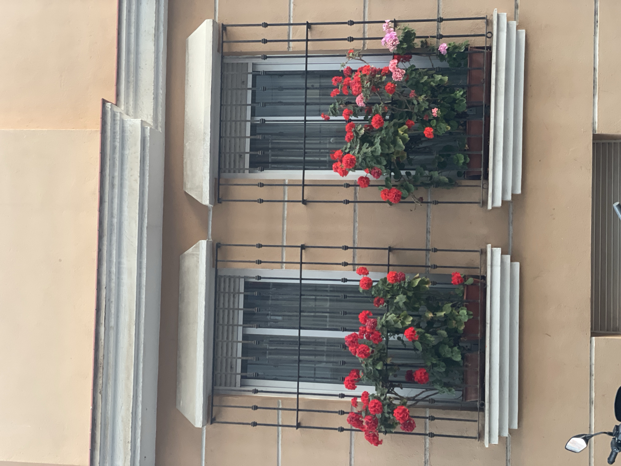 The image shows a close-up of two windows on the exterior of a building. The windows are covered by decorative metal grilles. Each window has a planter box overflowing with bright red geraniums and some lighter pink flowers. The building exterior is a tan color with some decorative architectural elements visible on the left side of the image. The windows themselves appear to be modern with horizontal blinds visible inside. The scene suggests a residential building, possibly in a European city given the style of the window grilles and flower boxes, consistent with the provided location context of La Línea De La Concepción, Spain. There is no discernible text in the image. The lighting suggests it is daytime.