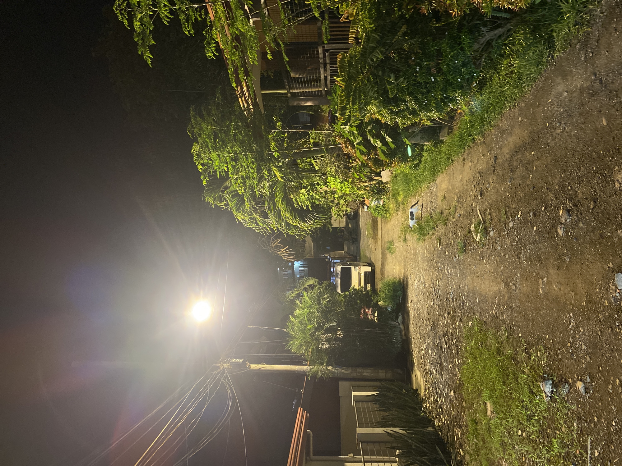 The image displays a nighttime scene within a residential area of Davao City, Philippines, characterized by an unpaved dirt and gravel road. The foreground and midground are brightly illuminated by a single street lamp positioned on the left, which produces prominent lens flares in the upper portion of the frame.
On the left side of the road, a wooden utility pole supports numerous overhead electrical and communication wires. Behind a low metal fence, the corner of a single-story house with a reddish-brown tiled roof is visible, fronted by a row of tall, sword-shaped succulent plants. A white utility van or small truck, identifiable by its Philippine license plate, is parked further down the path, facing away from the viewer.
The path itself is uneven, comprising loose dirt and gravel, with sporadic patches of green grass growing on the edges and in the center. In the mid-ground on the left side of the path, a white cat with distinct black markings is captured in motion, walking towards the left.
The right side of the scene is dominated by dense, lush tropical vegetation, including various leafy trees and palm fronds, which partially obscure a second house featuring a brown roof and a visible wooden balcony or lattice-style fence. The overall environment suggests a quiet, residential setting with abundant natural growth. No human subjects are present in the image.