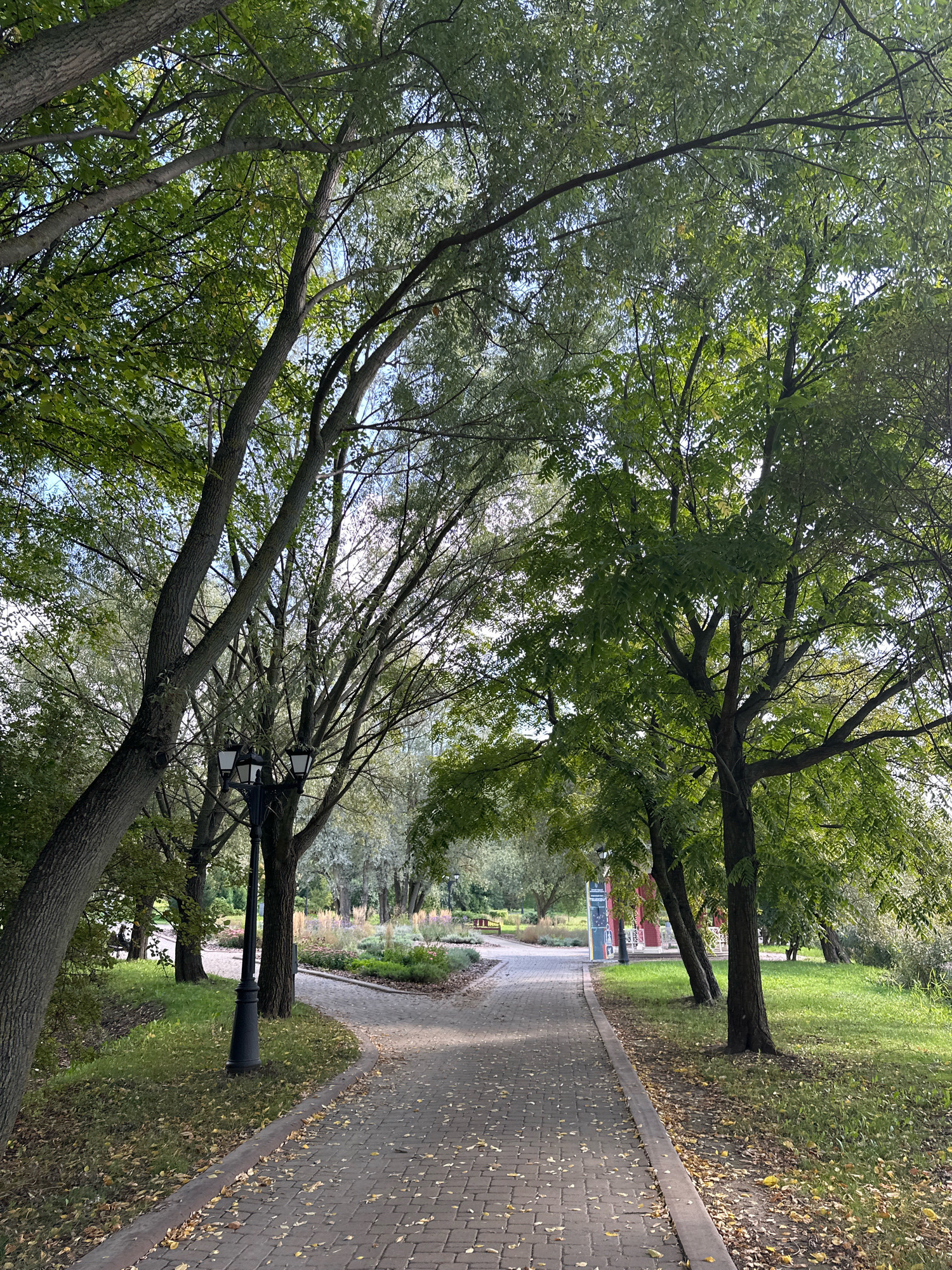 The image depicts a paved pathway in a park, likely in Minsk, Belarus, given the context of previous images. The pathway is made of interlocking bricks and is bordered by a curb and grassy areas with fallen leaves. Several trees with lush green foliage line the pathway, casting shadows on the ground. A black lamppost with three lights stands to the left of the path. In the background, there are flower beds with various plants and more trees. The sky is visible through the branches of the trees. There are no people visible in the scene. The overall atmosphere is serene and suggests a pleasant day in a park setting.