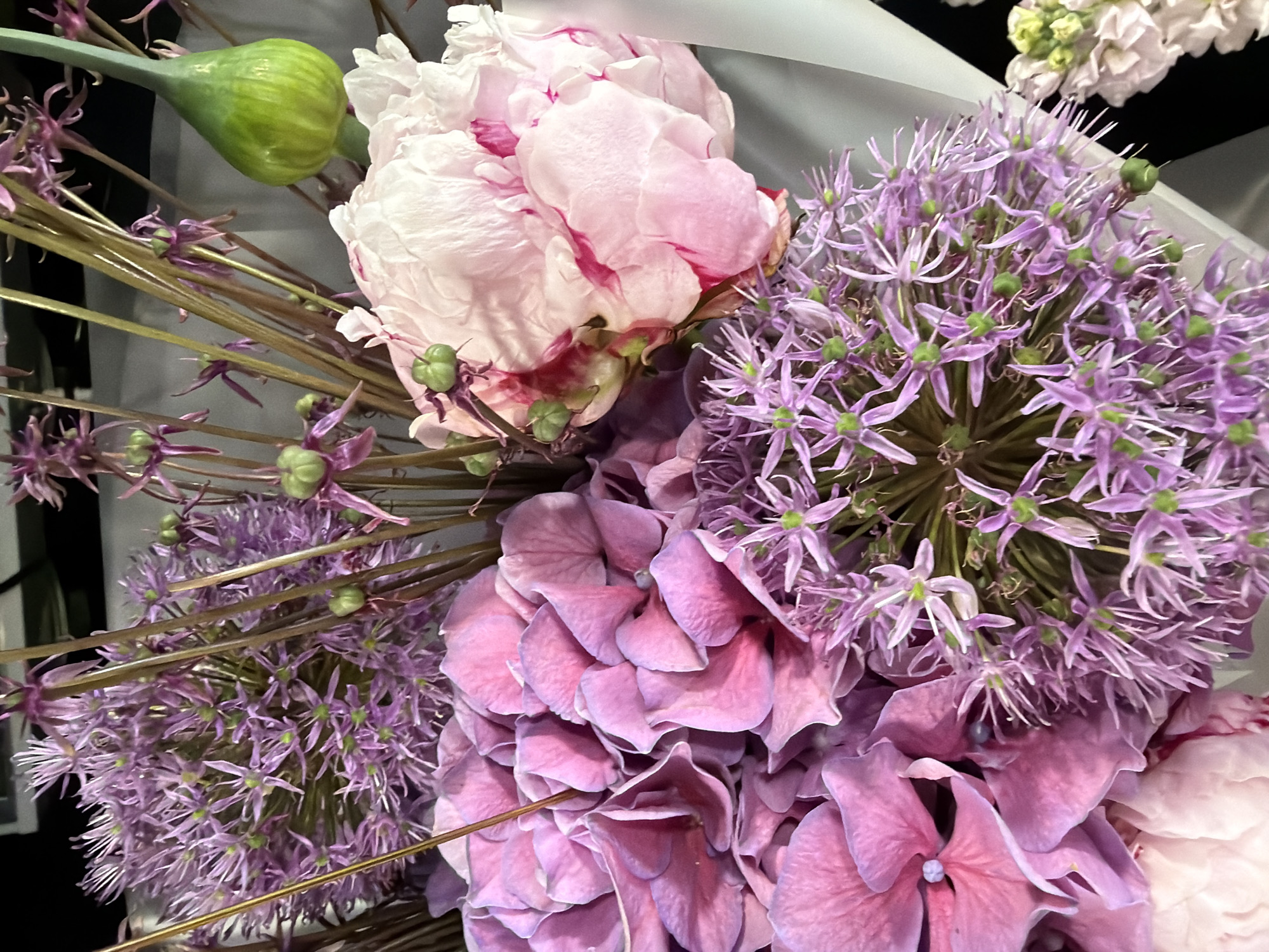 A close-up, top-down view of a floral arrangement showcases a variety of purple and pink flowers, along with a singular green bud. In the foreground, large, ruffled pink peony petals dominate the right side of the frame, their edges tinged with a deeper pink. To the left and center, a cluster of plump, round purple hydrangeas fills the space, their individual florets tightly packed. Interspersed throughout the arrangement are delicate, star-shaped purple allium flowers, their spiky petals radiating outwards from green centers. The stems of these alliums are thin and brown, adding a rustic texture. A single, bulbous green bud, possibly an allium bud, is visible on the right side, its smooth surface contrasting with the intricate detail of the open blooms. The backdrop is dark, with a hint of a white surface or cloth on the right edge of the frame. The lighting is bright and even, highlighting the vibrant colors and textures of the flowers. There are no people, animals, or significant environmental features visible.