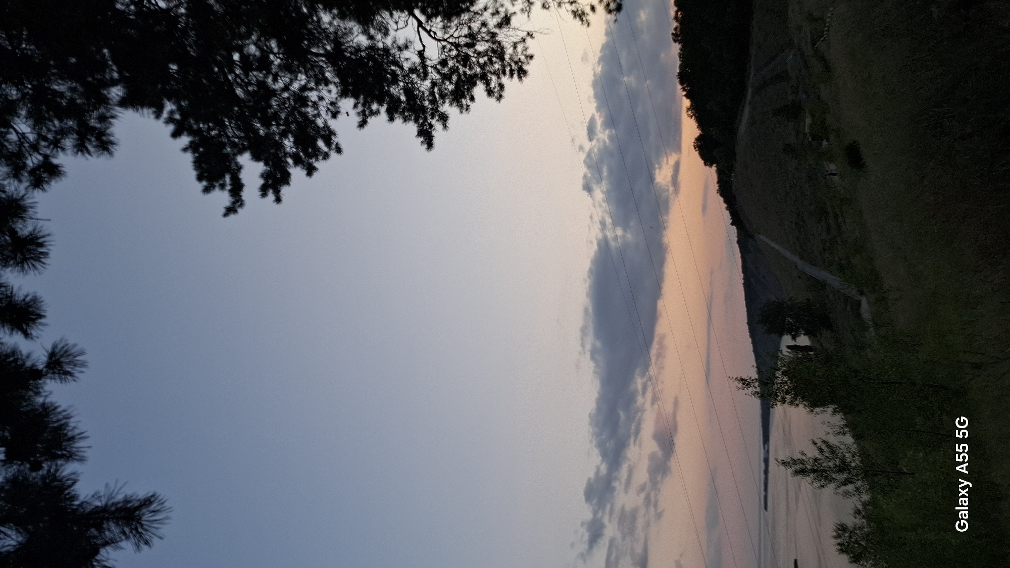 The image depicts a natural landscape at dusk, likely near the Volga River in Tolyatti, Russia. In the foreground, silhouetted trees with pine needles frame the upper part of the sky. The sky transitions from a pale blue at the top to hues of pink and orange near the horizon, indicating the setting sun. A line of dark clouds stretches across the middle of the frame. Below the clouds, power lines are visible. The middle ground features a gently sloping, grassy hillside with scattered trees and a winding path. In the distance, a body of water, presumably the Volga River, is visible, with a dark, tree-covered shoreline on the opposite bank. The overall impression is one of a peaceful, twilight scene in a natural setting. The watermark "Galaxy A55 5G" is present in the lower-left corner. No people are visible in the image.
