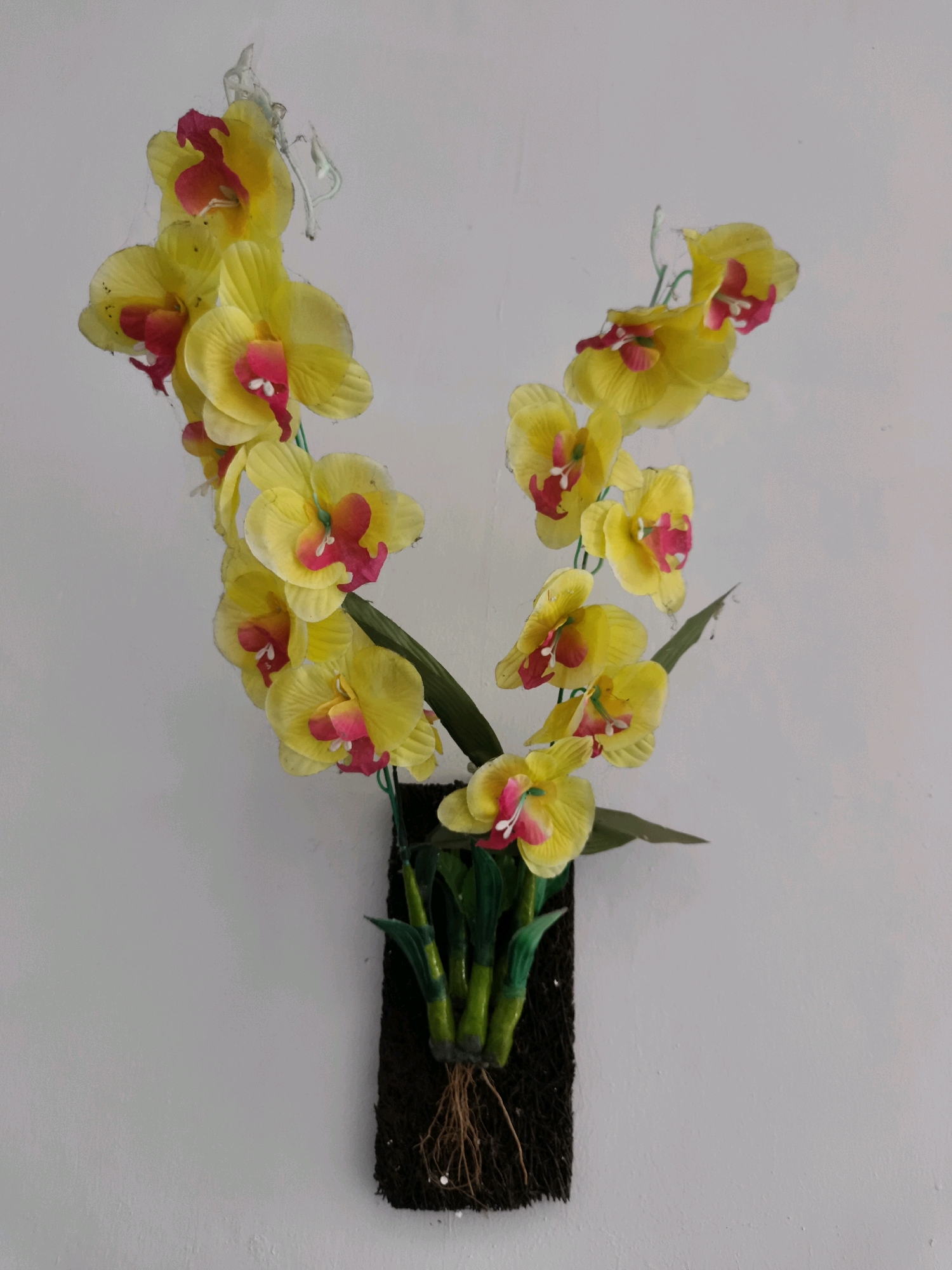The image shows a vertical arrangement of artificial yellow orchids with pink centers mounted on a dark, moss-like backing, which is attached to a textured, off-white wall. The orchid stems are green and appear to be made of plastic. The roots of the orchids are visible and appear to be made of brown string. The wall is plain and shows no decorative elements other than the floral arrangement. The lighting appears to be even, with no harsh shadows. The location of Tombatu Dua, Indonesia, is not ascertainable from the image itself.