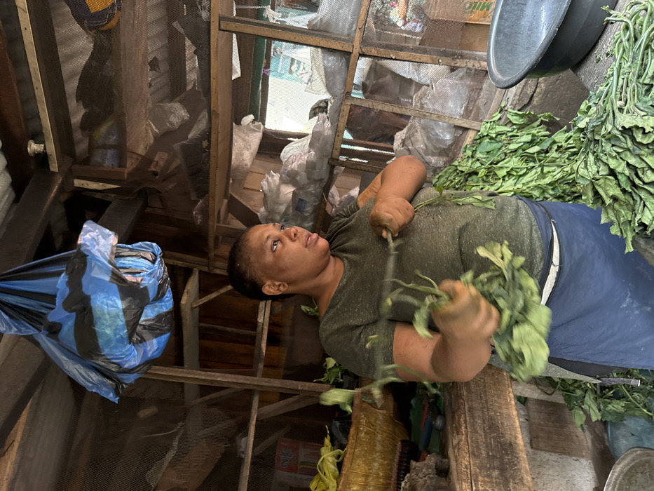 An adult female, with short, dark hair, is positioned within a market stall in Lekki, Nigeria. She wears a dark green short-sleeved t-shirt and a dark blue apron tied around her waist. Her hands are actively engaged in processing fresh, dark green leafy vegetables, appearing to separate leaves from stems. A significant pile of similar leafy greens rests on a flat surface in front of and to the lower right of the woman. A dark grey plastic basin is visible on this surface to the lower right. Overhead, a large blue and black striped plastic bag, appearing full, is suspended from the ceiling. The background reveals rustic wooden shelving units containing various items, including multiple white plastic bags filled with goods, and a brown cardboard box labeled "Milo". The stall features a corrugated metal ceiling and a structural framework of wooden beams and planks, with some sections incorporating mesh panels. The scene is illuminated by natural light.
