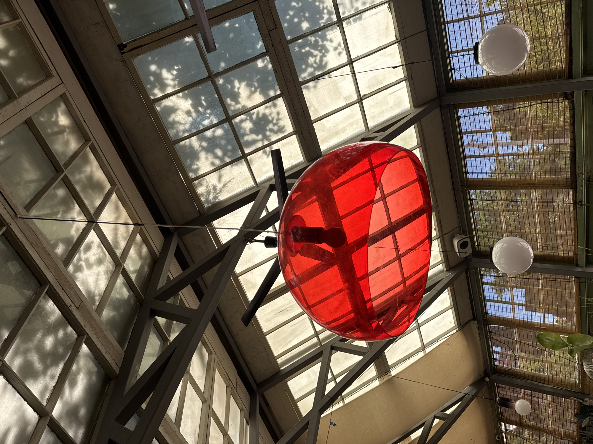 This image shows the interior of a greenhouse-like structure with a glass ceiling. The ceiling is supported by a metal framework and has sections that appear to be made of frosted glass, allowing dappled sunlight and tree shadows to filter through. A large, spherical red lantern hangs prominently in the center of the frame, suspended by a wire. Two smaller white spherical lanterns are also visible, hanging lower down. The background reveals windows covered with bamboo blinds, through which trees and a blue sky are visible. The overall impression is that of a bright, airy space, possibly a botanical garden or a cafe with a greenhouse aesthetic, located in Tbilisi, Georgia. There are no people or animals visible in the image.