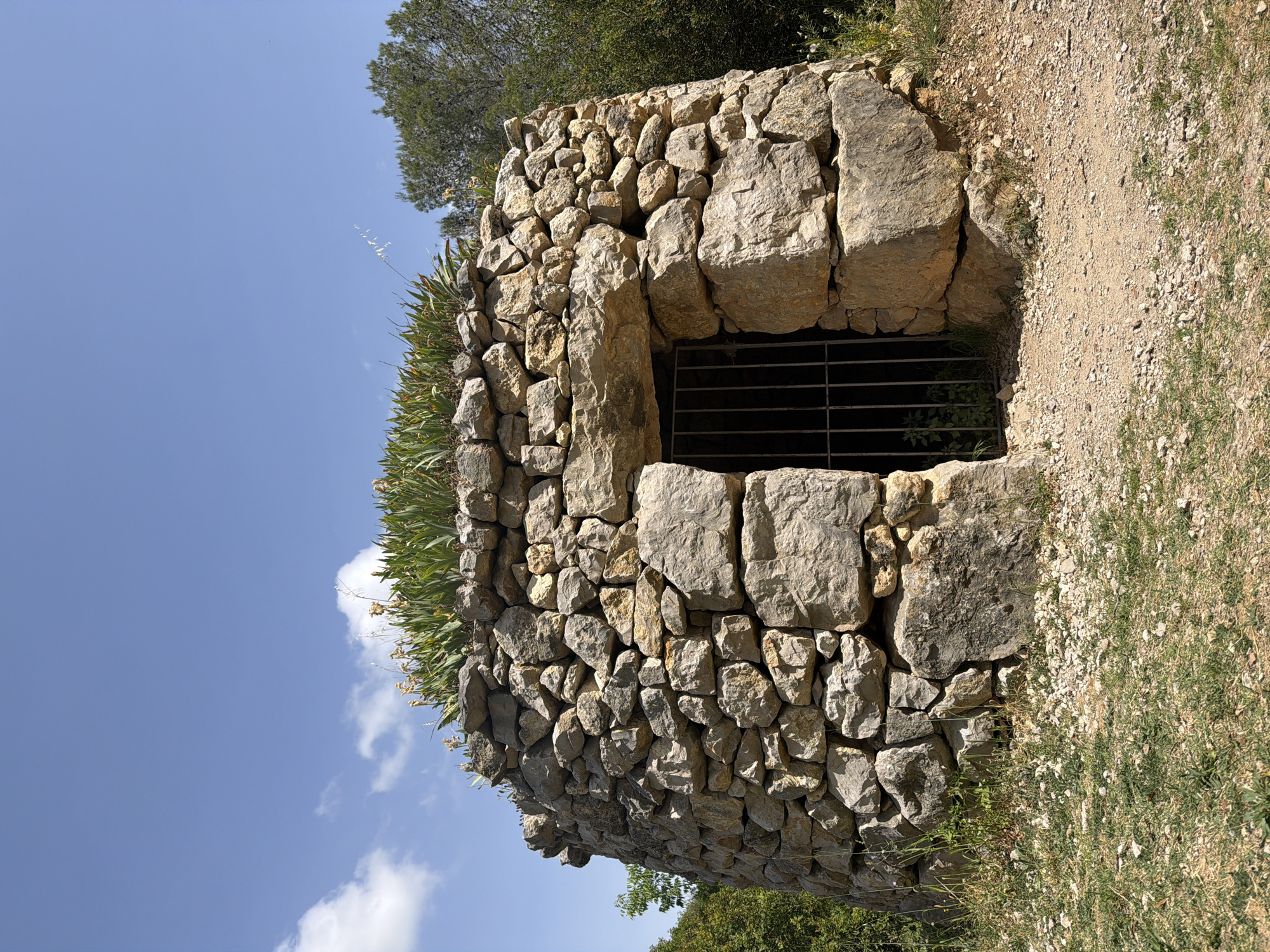 The image captures a sturdy, circular dry stone structure, reminiscent of an ancient or traditional hut, prominently positioned on the left and center. It is constructed from numerous irregularly shaped, stacked stones in varying shades of grey and beige. An arched opening on the right side of the structure is secured by a dark metal grate, implying restricted access. Lush green, spiky plants, possibly succulents or agave-like species, grow abundantly along the top and sides of the stone wall, softening its rugged edges.
The setting is outdoors under a bright, clear blue sky dotted with a few wispy white clouds, indicating a sunny day. Dense green tree canopies are visible in the background, particularly towards the upper right and lower left, suggesting a verdant natural environment. To the right of the stone structure, a light brown dirt and gravel path winds away, featuring scattered patches of dry grass. The scene is static, devoid of human activity or visible text. The architecture and vegetation are consistent with the dry stone constructions and flora found in regions like Olèrdola, Spain.