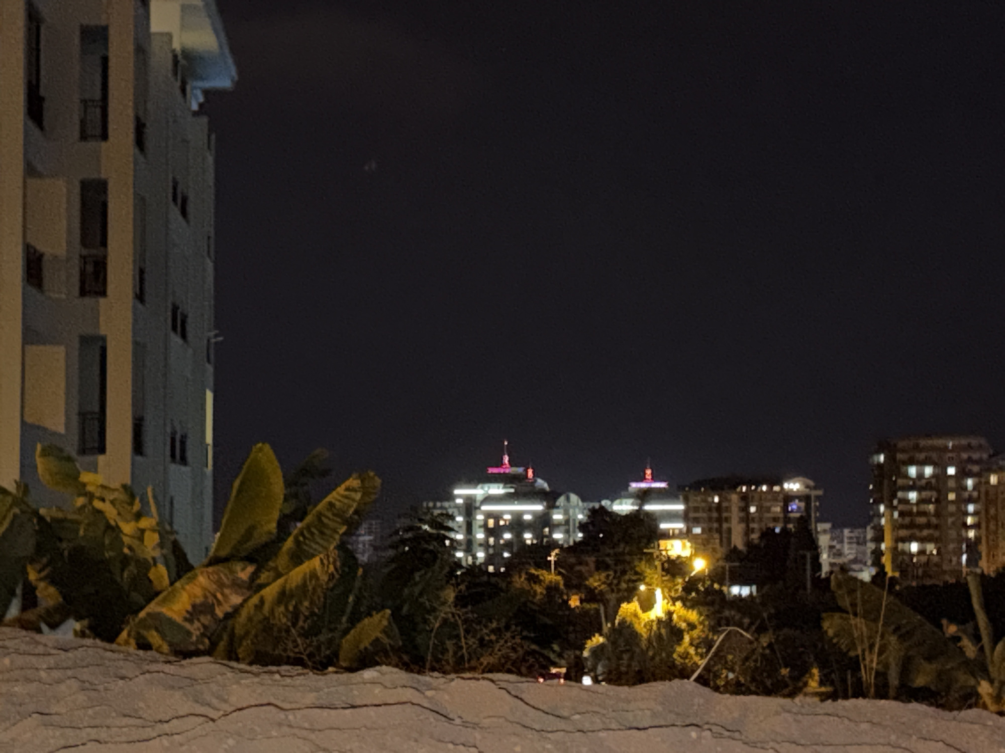 An exterior, night-time, medium shot captures a view of buildings and tropical foliage in Alanya, Turkey. In the foreground, a rough, textured surface, possibly a wall or pile of debris, is visible, covered in what appears to be dried leaves and sparse vegetation. Beyond this, large, dark green tropical leaves with yellow-tinged undersides dominate the left and right sides of the frame, some appearing wind-blown.
In the mid-ground, several multi-story buildings are illuminated, their windows glowing with warm light. Two prominent buildings stand out with brightly lit facades and decorative, pinkish-red lighting atop their roofs. The building on the far right is a darker, more rectangular structure with numerous lit windows. The background is a dark, clear night sky. The overall impression is of an urban landscape at night, with a mix of architectural styles and lush vegetation.