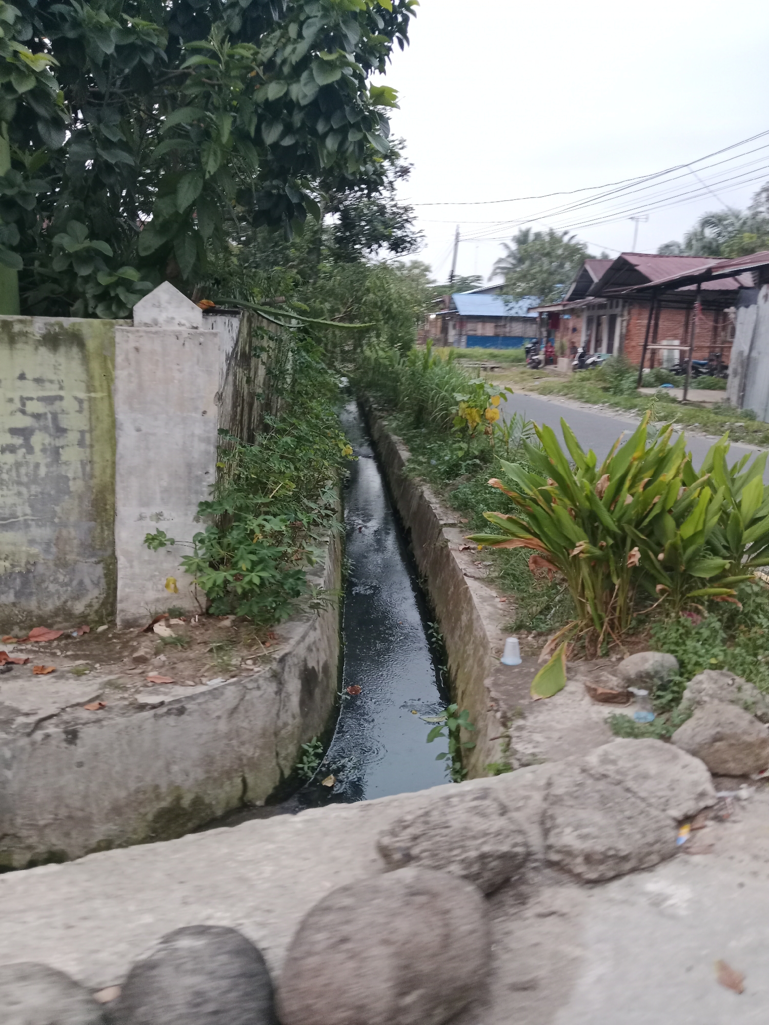 The image shows a narrow, dark water canal running alongside a paved road in a residential area. The canal is lined with concrete walls and overgrown with vegetation on both sides. On the left, a tall, textured concrete wall with some discoloration is visible, covered in green plants. On the right, the canal is bordered by a concrete edge with more plants and several large rocks in the foreground. Beyond the canal and road, several modest houses with corrugated iron roofs and some trees are scattered throughout the landscape. The sky is overcast, suggesting a cloudy day. The scene appears to be in the City of Binjai, Indonesia, given the architectural style of the houses and the presence of lush tropical vegetation. There are no people visible in the image.