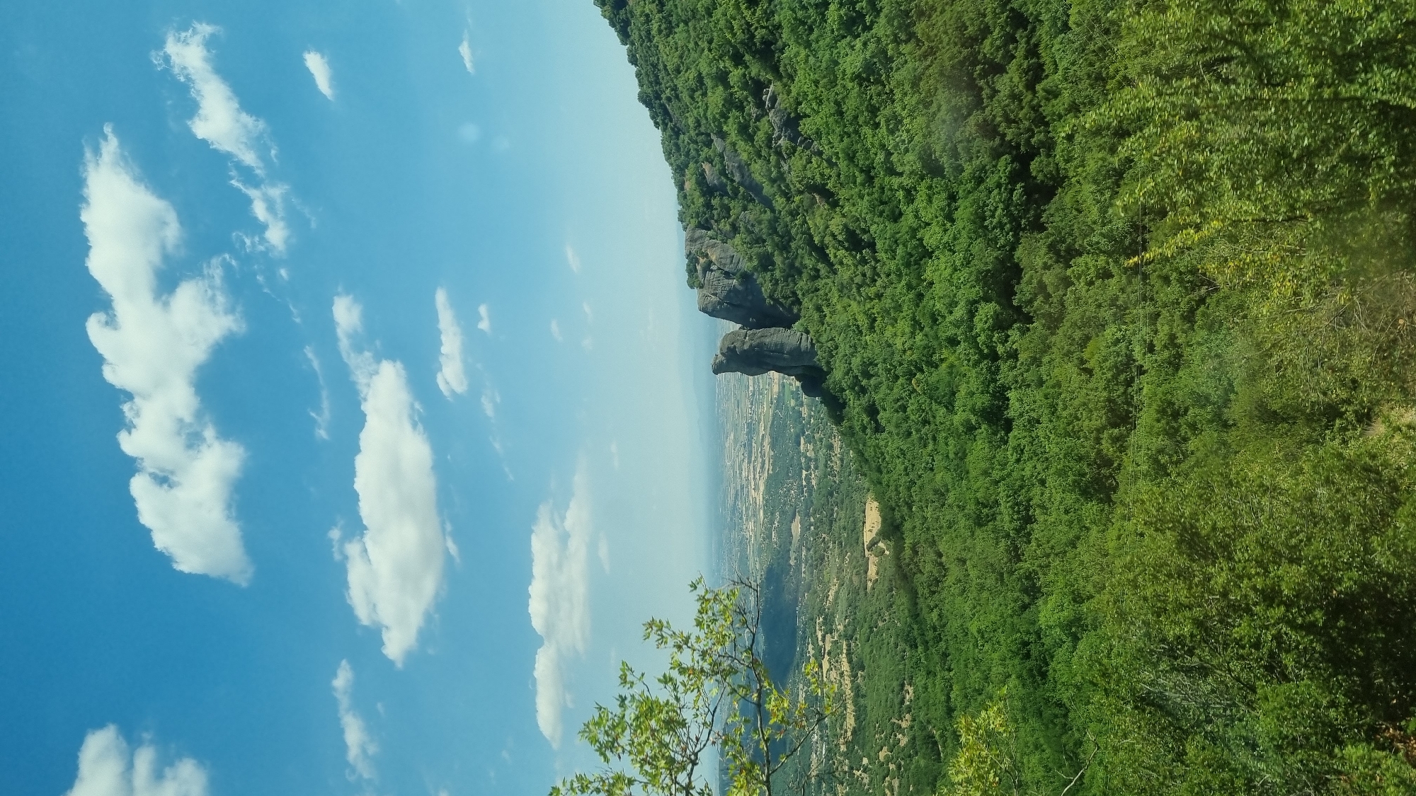 The image depicts a scenic view of the Meteora region near Kalambaka, Greece. The foreground is dominated by a lush, green, densely forested hillside. A tree branch with green leaves extends into the upper left corner of the frame. In the mid-ground, dramatic rock formations rise vertically from the hillside, some appearing as tall, slender spires. These rock formations are covered in patches of vegetation and are characteristic of the Meteora landscape. Beyond the rocks, the scene opens up to a vast, flat valley. The valley floor is a patchwork of agricultural fields, with subtle variations in color indicating different crops or land use. Hazy, distant mountains can be seen on the horizon. The sky is a vibrant blue, dotted with fluffy white cumulus clouds. The overall impression is one of natural beauty and geological wonder. There are no people or man-made structures immediately apparent in the main subject area, focusing the viewer's attention on the natural environment and geological formations. The lighting suggests a bright, sunny day.