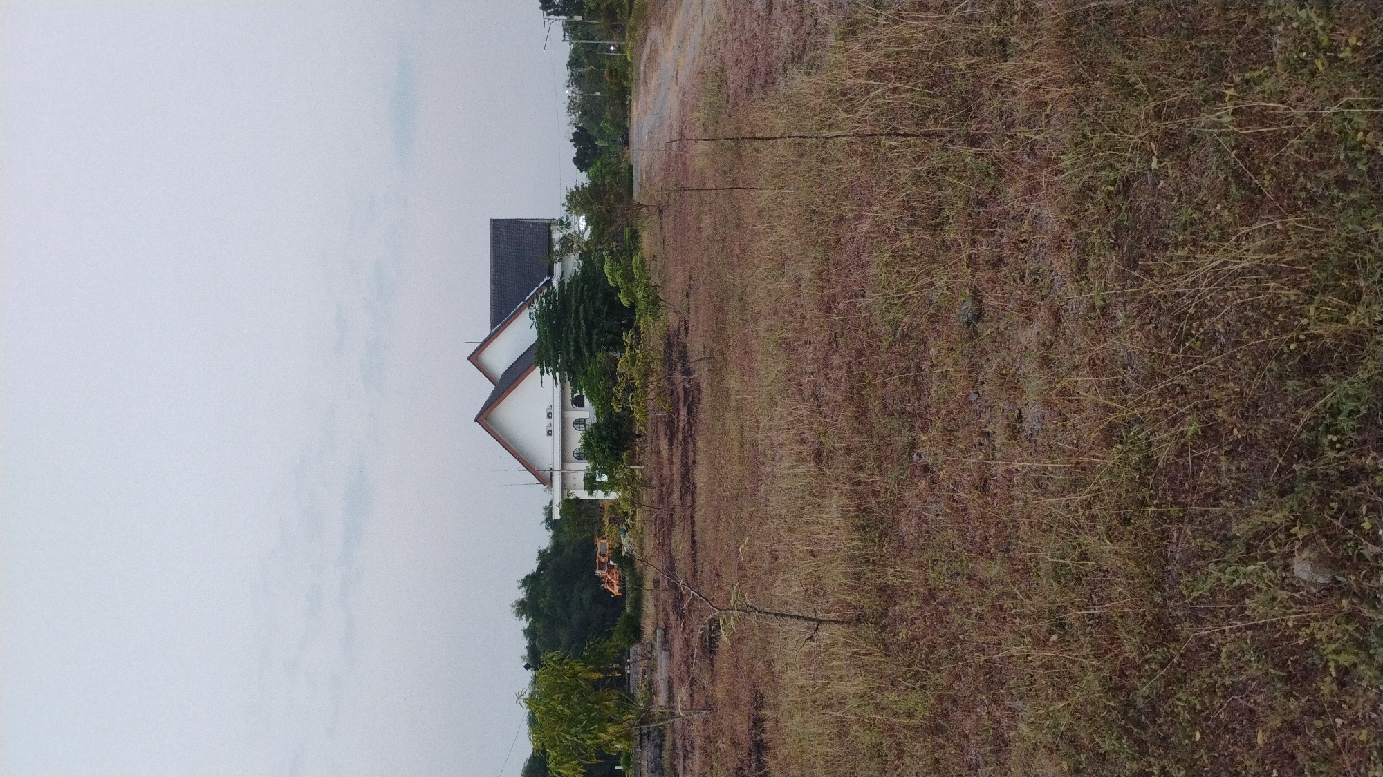 The image depicts a two-story white building with a dark gray roof, situated in an undeveloped area that appears to be on the outskirts of Tulungrejo, Indonesia. The building has a modern architectural style with prominent gable roofs. In front of the building, there is an open field with dry, brown grass and scattered saplings. A dirt road curves into the distance to the right of the building. In the background, behind the building, there are trees and some indistinct orange construction equipment. The sky is overcast and a pale gray, suggesting it might be early morning or late afternoon. No people are visible in the image. The overall impression is one of a developing or underutilized area.