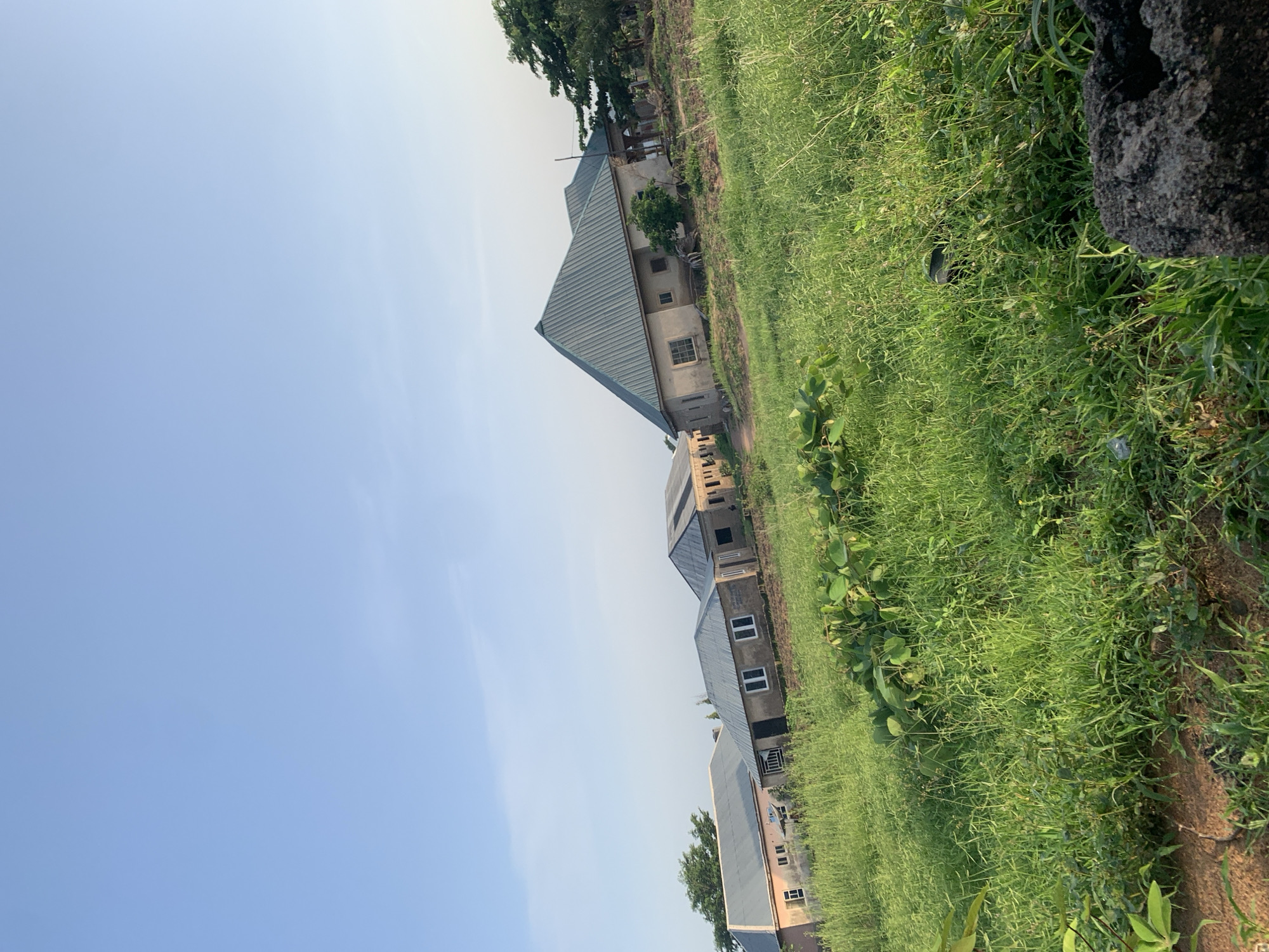 The image displays an exterior view of several unfinished buildings situated in Jalingo, Nigeria. The structures are characterized by their beige-colored walls and corrugated metal roofs, some of which are sloped and pointed, while others are more rectangular. The buildings appear to be single-story dwellings, with some featuring visible windows and doorways, indicating ongoing construction. Surrounding the buildings is an expanse of overgrown green grass and vegetation, suggesting a somewhat undeveloped or rural area within the city. The sky is a clear, pale blue, indicating fair weather. The perspective of the photograph is from a low angle, looking upwards towards the buildings and the sky, and the scene is slightly tilted, adding a dynamic element to the composition. No people are visible in the image.
