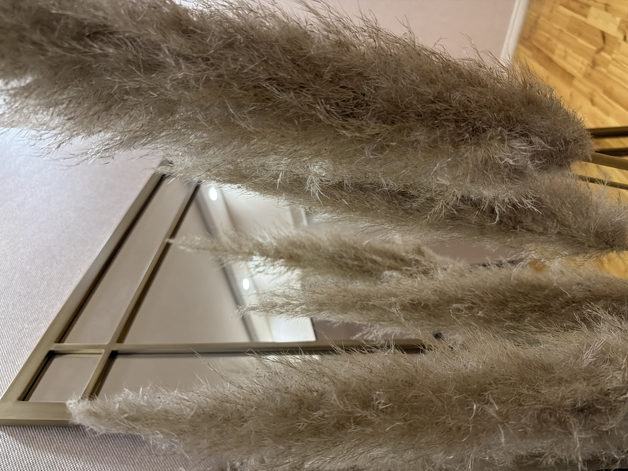 A close-up, indoor, eye-level shot focuses on several large, dried pampas grass plumes. The plumes are a light tan color and have a soft, feathery texture. They are arranged in the foreground, obscuring the background to some extent.
Behind the pampas grass, a large, gold-framed mirror is visible. The mirror is divided into multiple rectangular panes by thin, gold mullions. The mirror reflects the room behind the camera, showing subtle lighting fixtures and a wall with a textured finish. The overall color palette is warm and neutral, with the tan of the pampas grass, the gold of the mirror frame, and the soft colors reflected in the mirror. The flooring, also visible in the reflection and on the lower right of the image, is made of light-colored wood planks. The scene appears to be in a domestic interior, possibly a living room or entryway, located in the city of Sabirabad, Azerbaijan. There are no people or animals in the image, and no actions or interactions are depicted. The lighting is soft and diffused.