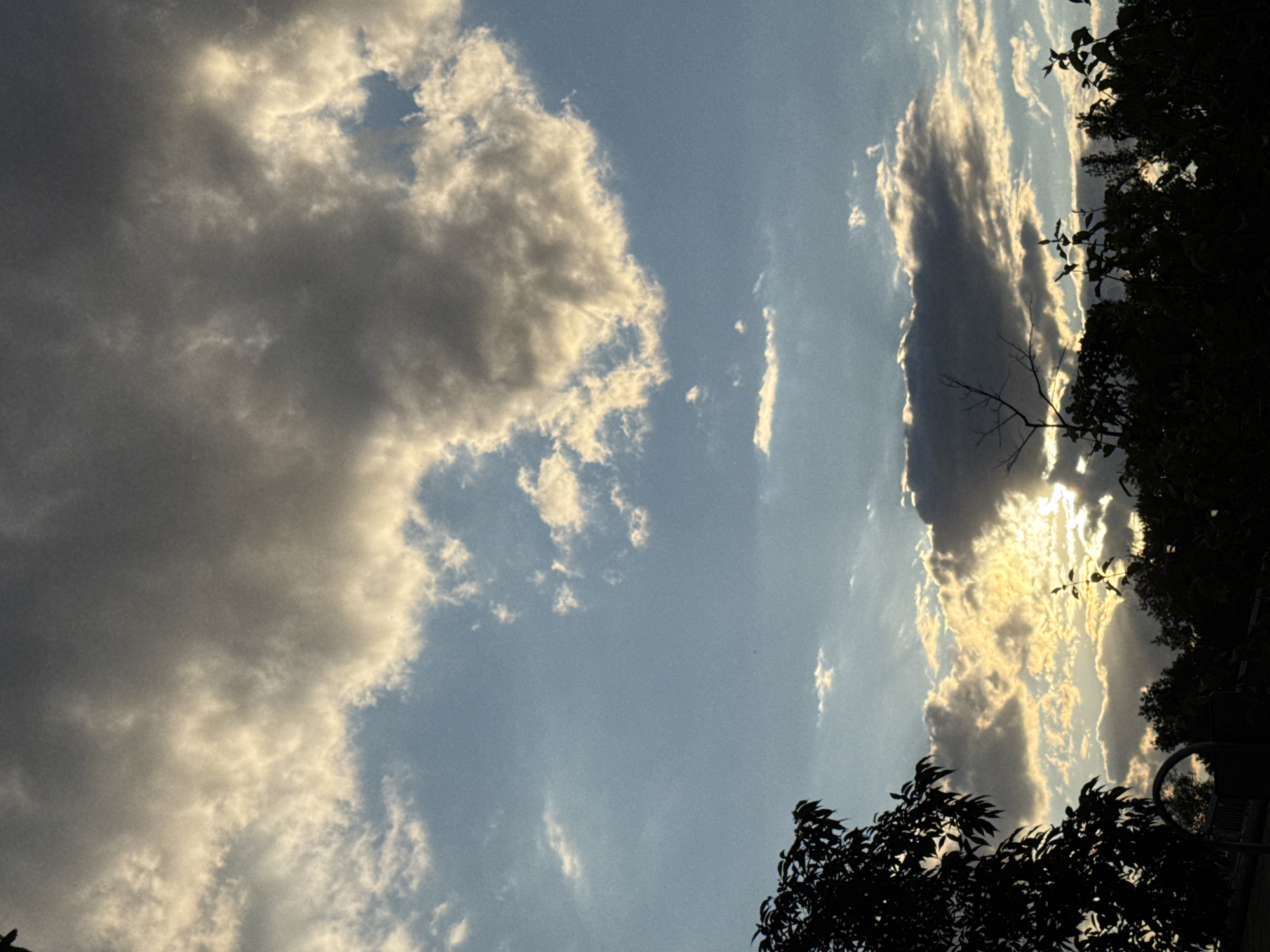 The image depicts a cloudy sky with the sun partially obscured by dark, dramatic clouds, creating a backlit effect. The light filtering through the clouds illuminates them with a golden hue. Silhouetted against the sky are the dark shapes of trees and foliage, suggesting a natural or park-like setting. In the lower left corner, a dark tree branch with leaves is prominent. Towards the bottom of the image, there are darker masses of vegetation and possibly some man-made structures, though they are indistinct due to the low light conditions. The overall impression is of a sunset or late afternoon sky with dynamic cloud formations. The location is stated to be the city of Plovdiv, Bulgaria, however, no specific landmarks or features are clearly identifiable in the image that would pinpoint a precise location within the city.