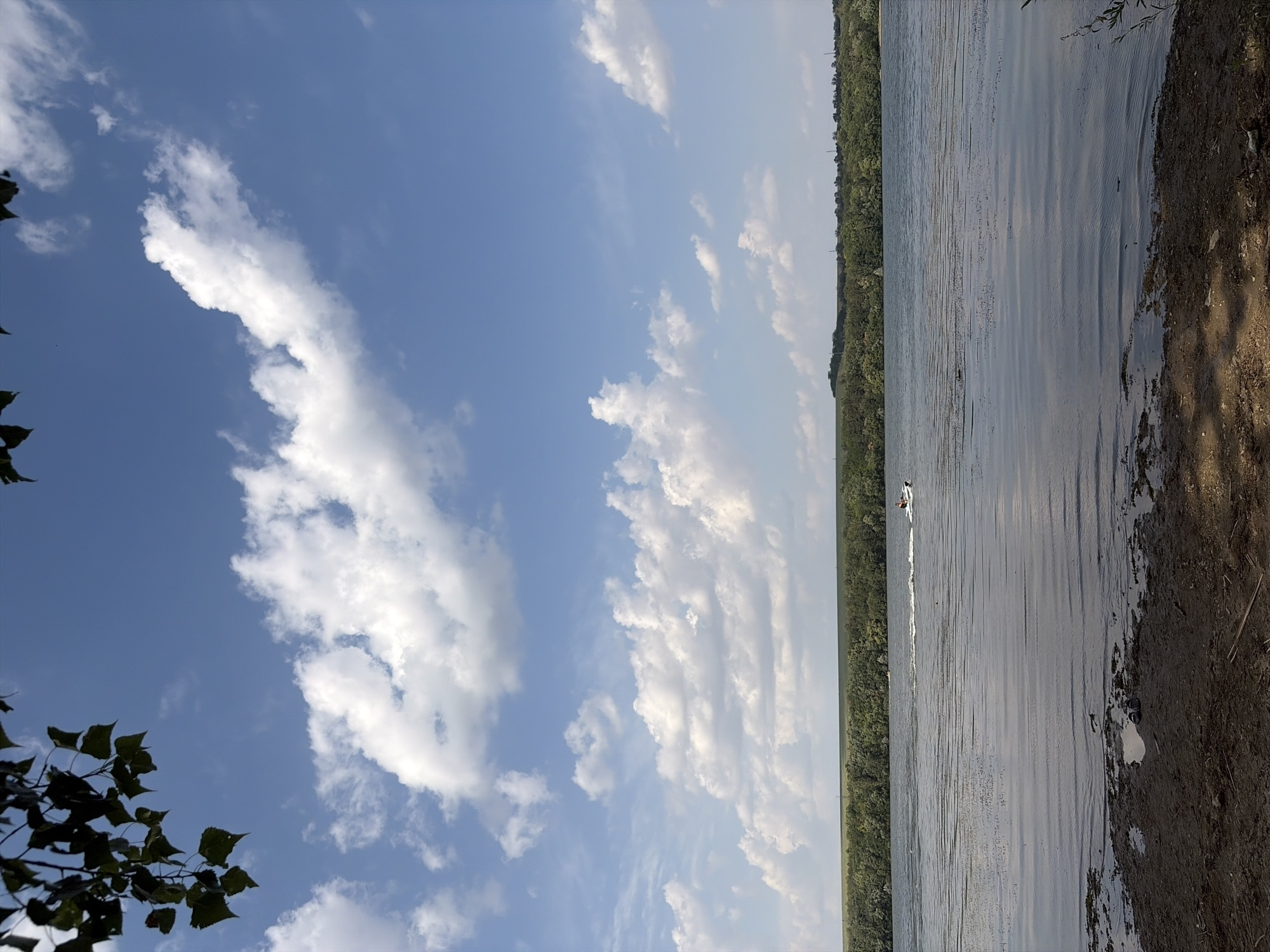 The image depicts a wide, tranquil river under a bright blue sky dotted with fluffy white clouds. In the distance, a dense, green forest lines the opposite bank of the river. A small white boat with a person on board is creating a wake as it moves across the water. In the foreground, the muddy bank of the river is visible, with some debris scattered on the ground. The scene suggests a peaceful, natural setting, likely during daytime. This location appears to be the Nistru River in or near Oxentea, Moldova, given the characteristic landscape of the region.
