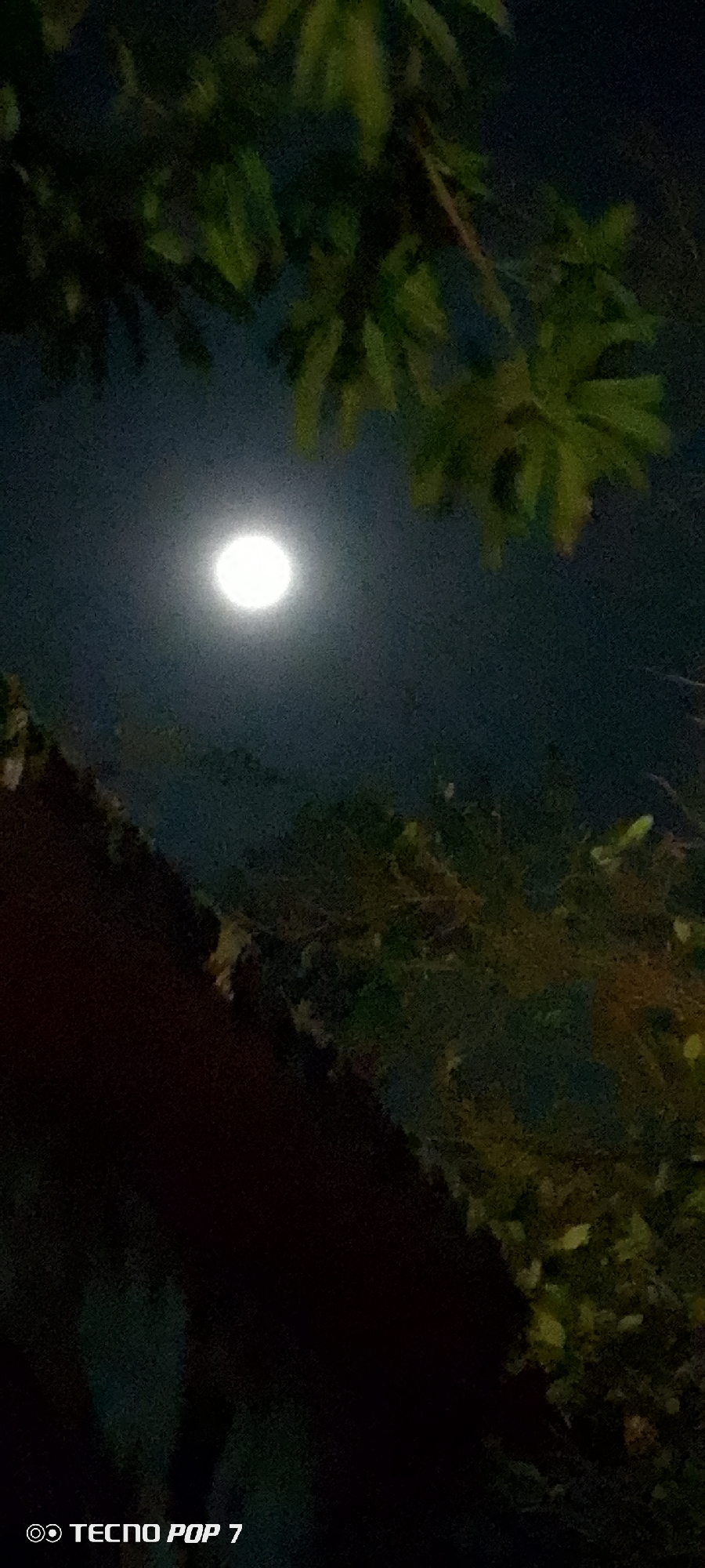 The image shows a night scene in what appears to be Altagracia, Venezuela, based on the "TECNO POP 7" watermark which indicates the phone model commonly used in that region. The focal point is the moon, a bright, circular object against the dark night sky. The moon is partially framed by the silhouettes of tree branches and leaves in the foreground and top of the image. The foreground also includes a dark, indistinct shape which could be a building, a structure, or more dense foliage. The overall environment is dimly lit, and the image appears to have been taken handheld, resulting in slight blurriness. There are no visible people or actions.