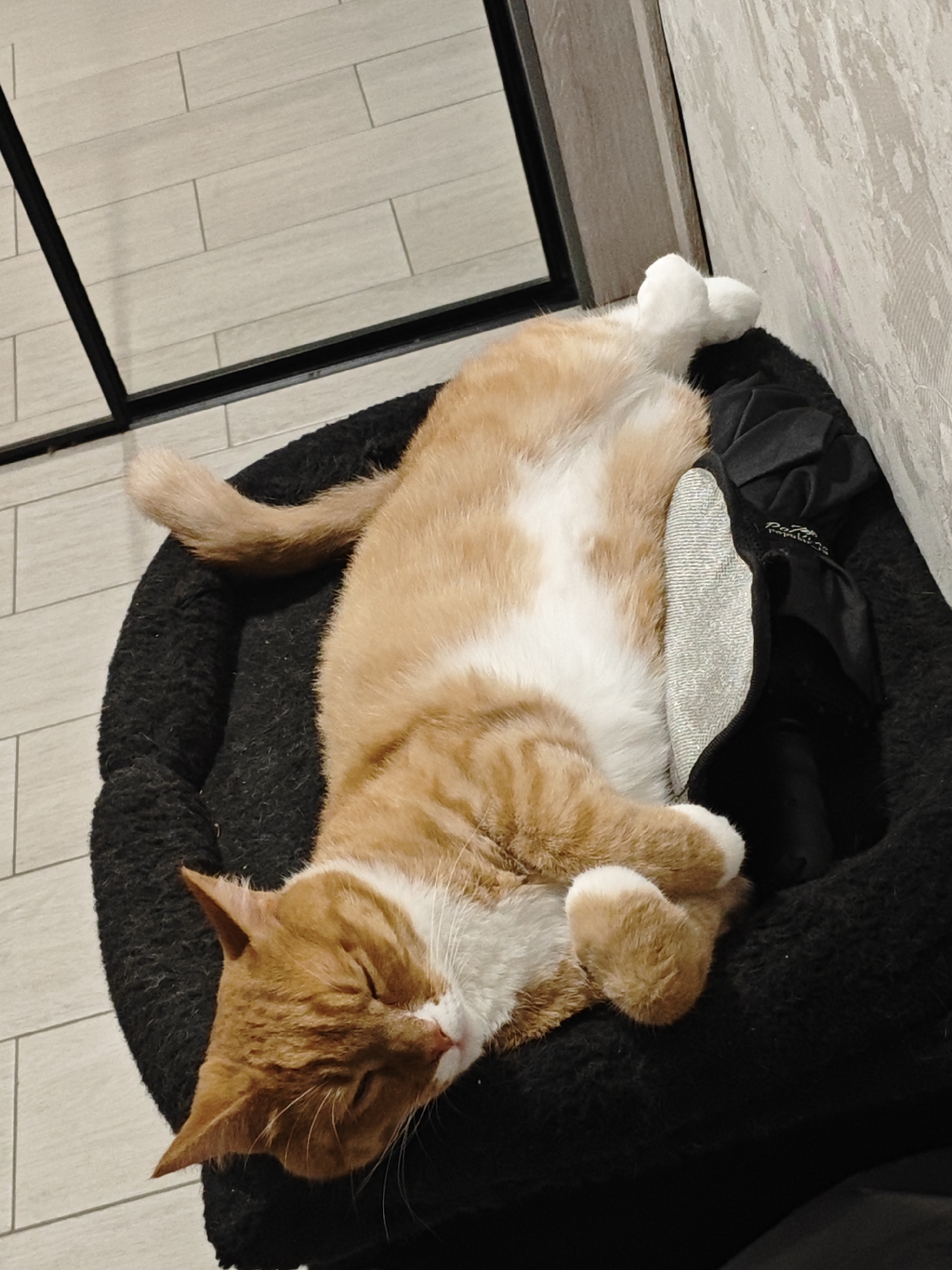 An orange and white tabby cat is sleeping soundly on its back in a plush, black pet bed. The cat's eyes are closed, and its paws are tucked in. The pet bed is situated on a light-colored tiled floor, likely in an apartment in the city of Боровский, Russia. A dark-framed mirror or glass partition is visible to the left, reflecting the tiled floor and a bit of the room's wall. To the right of the pet bed, a textured wall with a subtle pattern can be seen. The lighting suggests it is indoor ambient light.