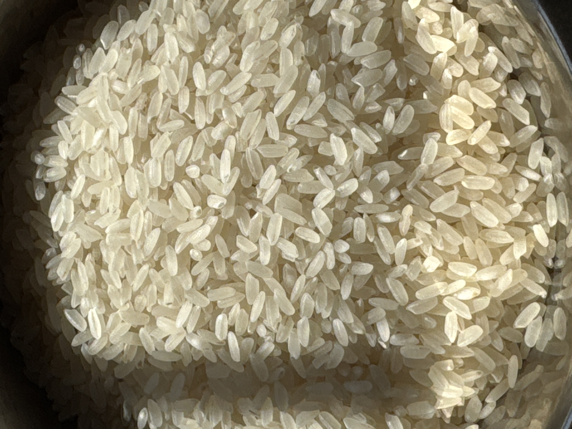 A close-up, overhead shot shows a pile of uncooked white rice. The grains are elongated and have a creamy white color. Some grains appear to be slightly translucent, while others are opaque. The rice is illuminated from the side, creating shadows and highlighting the texture of the grains. The background is dark, suggesting the rice is in a container or bowl. The image is sharp and clear, with no people or other objects visible. The location of Zaokskiy, Russia, is not depicted in this image.
