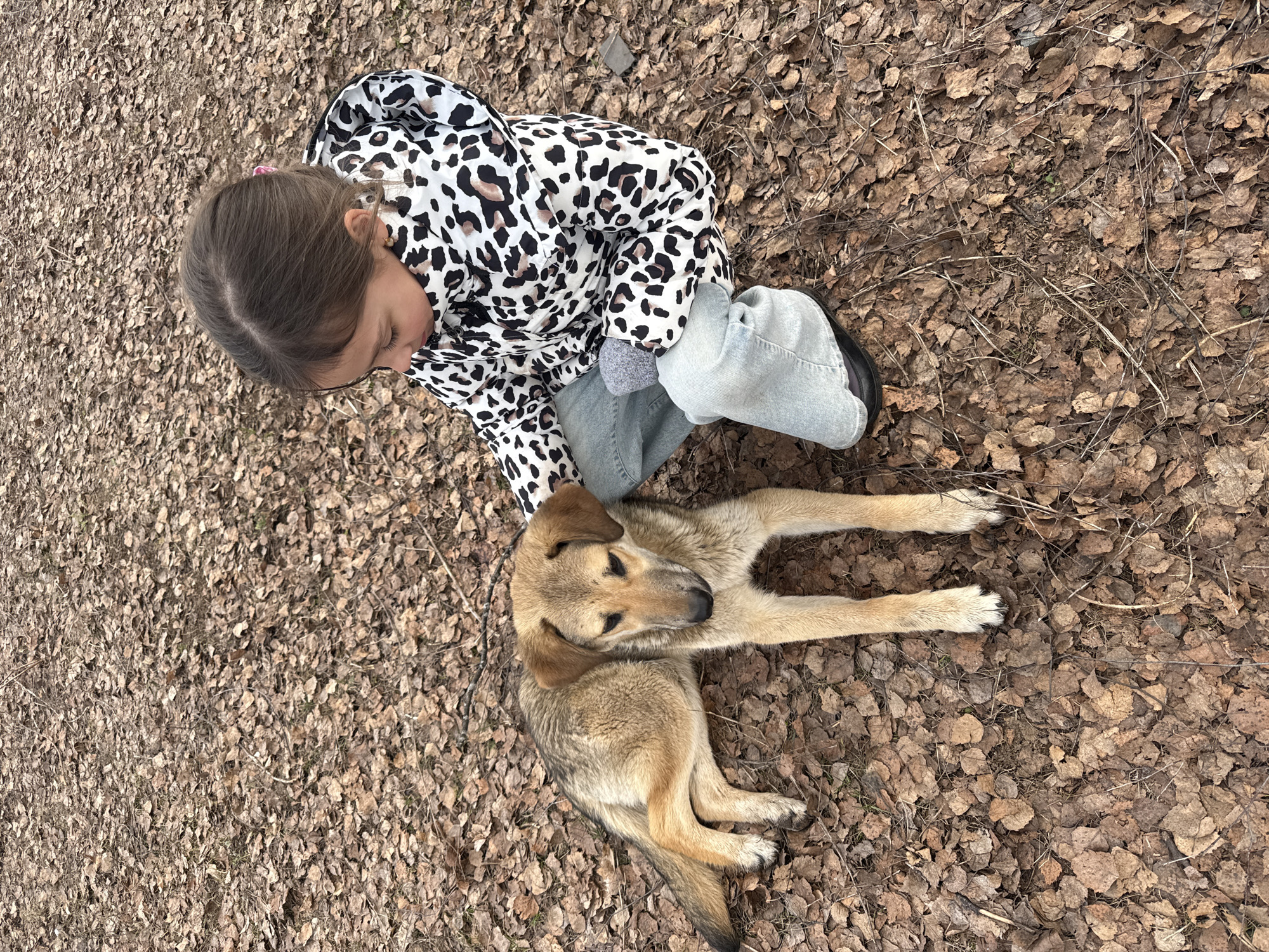 A young girl, approximately 5 years old, with brown hair and wearing a spotted jacket and blue jeans, kneels on a bed of fallen brown leaves, next to a medium-sized, light brown dog. The dog lies on its side with its paws outstretched. The setting appears to be outdoors in Votkinsk, Russia, given the likely origin of the image.