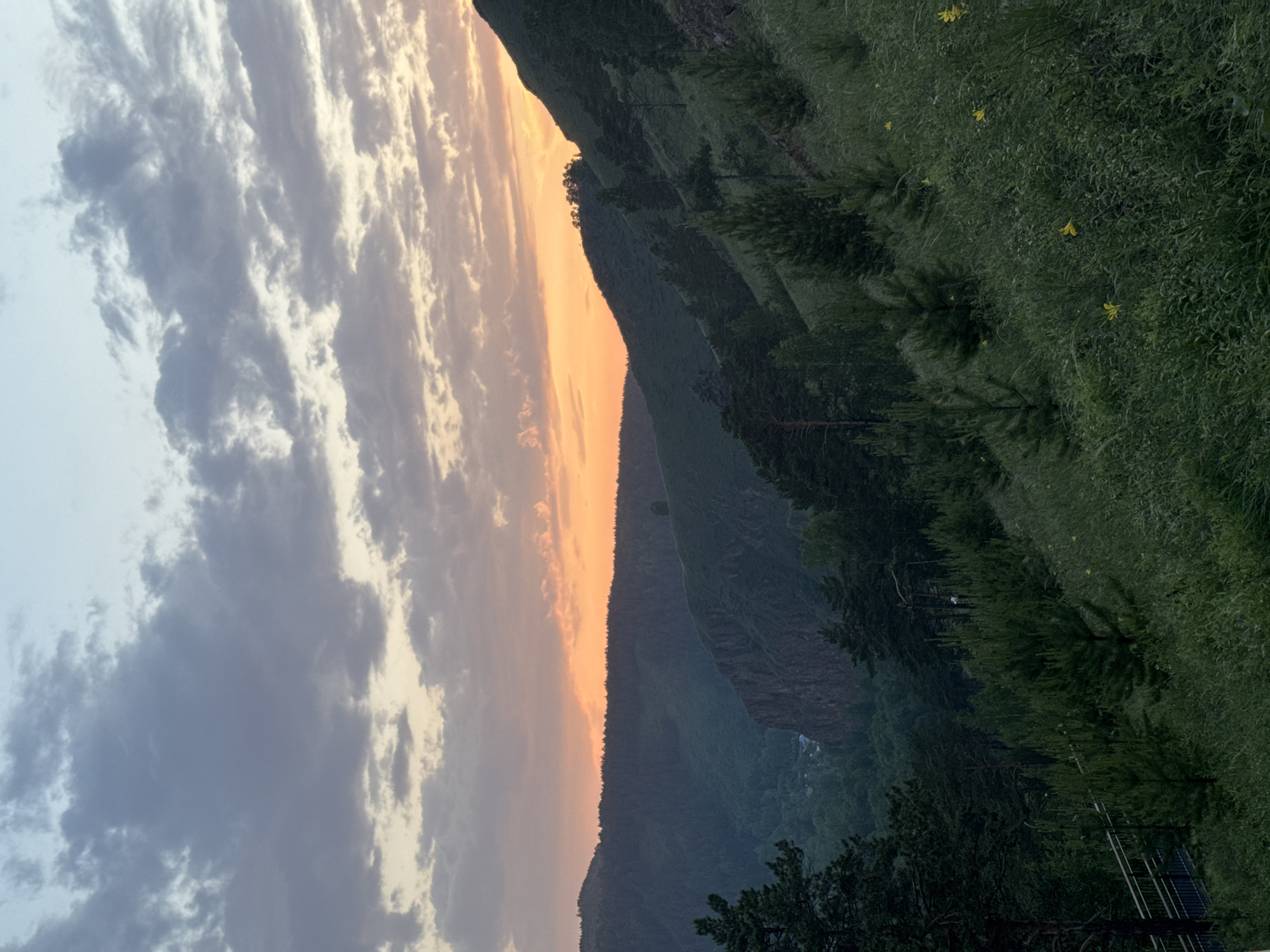 The image depicts a natural landscape, likely taken from a viewpoint overlooking a valley and mountainous terrain at dusk. The sky is filled with dramatic clouds, ranging from pale blue at the top to vibrant orange and pink hues near the horizon, indicating the sun is setting or has just set.
The foreground is dominated by a grassy slope dotted with young coniferous trees. Some of these trees are planted in a somewhat organized manner, suggesting a landscaped area or a well-maintained trail. In the far left of the foreground, a metal railing and part of a walkway are visible, hinting at a designated viewing platform or hiking path. Small yellow wildflowers are scattered throughout the grass.
The middle ground features a dense forest covering the hillsides. The trees are predominantly coniferous, creating a deep green carpet that recedes into the distance. A deep gorge or canyon cuts through the landscape, with steep, rocky cliffs visible on one side. A small settlement or a few buildings can be glimpsed deep within the valley.
The background is characterized by rolling mountains, heavily forested. The overall impression is one of a remote, natural environment bathed in the soft, warm light of sunset.
This scene is highly reminiscent of the **Tatarsky Trakt viewpoint in Krasnoyarsk, Russia**. This location is known for its panoramic views of the Mana River valley, the surrounding taiga, and the distinctive Stolby Nature Reserve formations, particularly when viewed during sunrise or sunset. The presence of well-maintained trails and viewing platforms aligns with the infrastructure often found at such popular natural attractions.