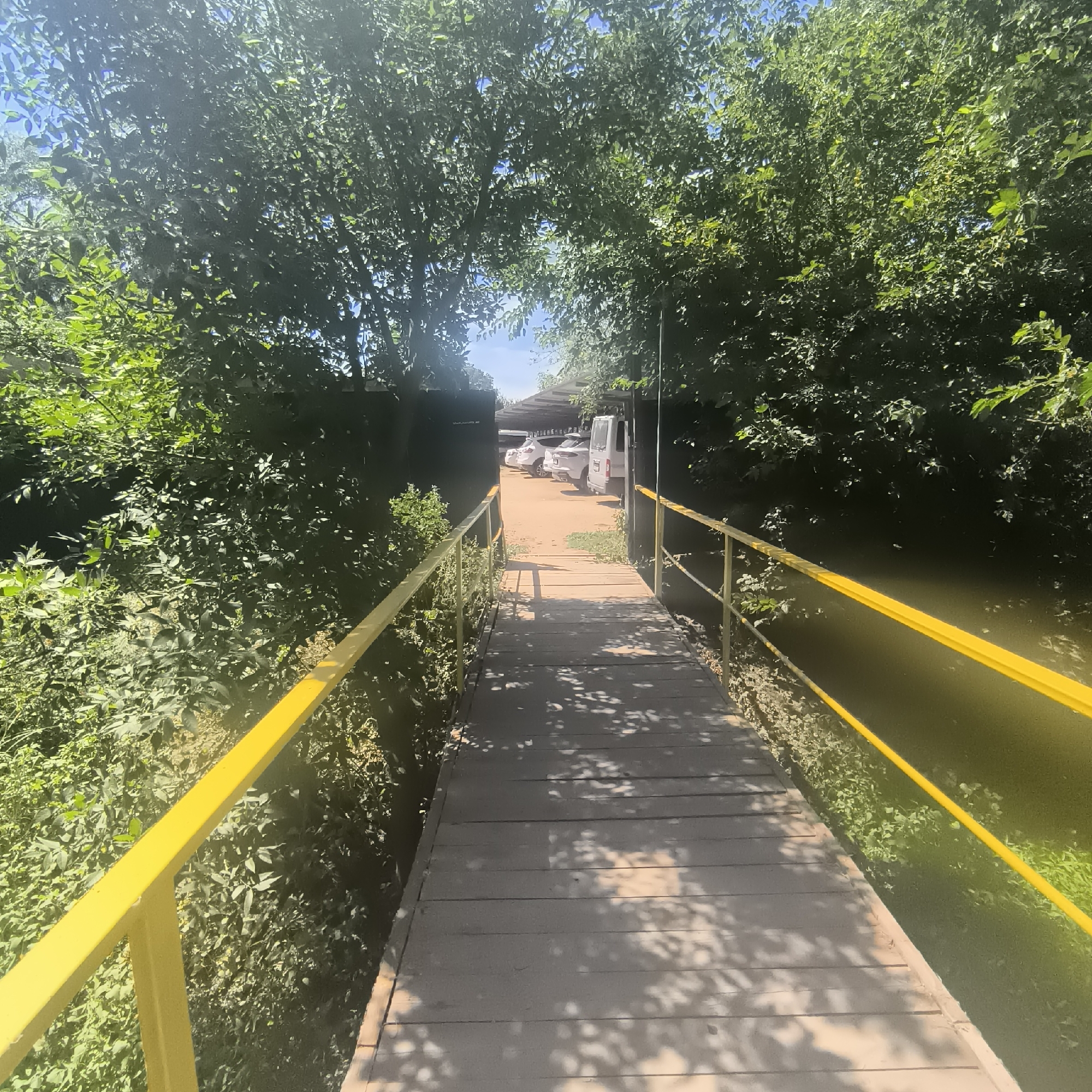 The image depicts a wooden footbridge with bright yellow railings, leading towards a cluster of parked vehicles under a covered area. Lush green foliage borders the bridge on both sides, with trees arching overhead, creating a natural canopy. Sunlight filters through the leaves, casting dappled shadows on the bridge's surface. In the distance, several cars and a white van are visible. The scene suggests an outdoor location, possibly a recreational area or a pathway to a facility. The context provided places this scene in Malyy Baklaniy, Russia.