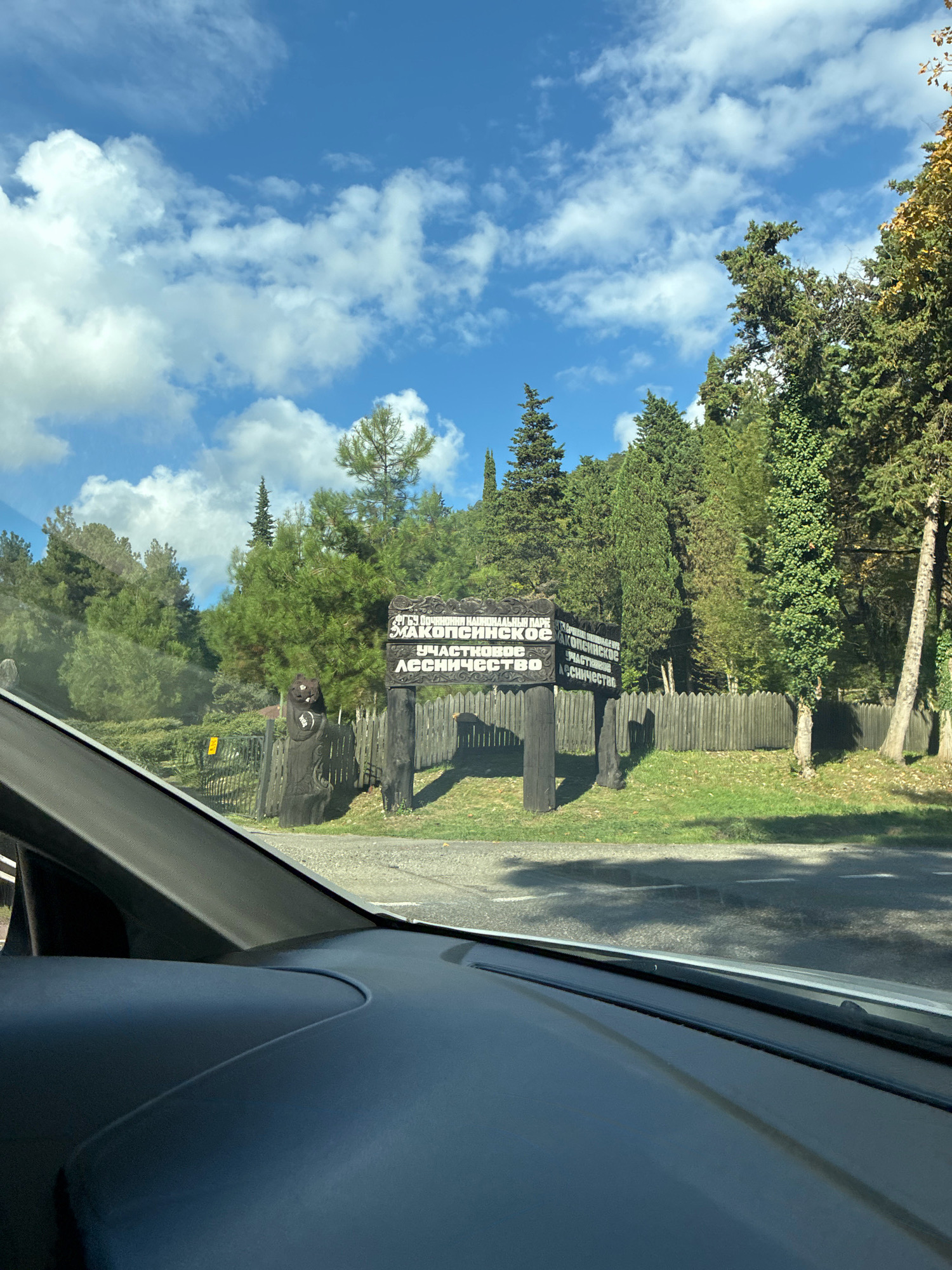 The image shows a sign in front of a wooden fence and a dense forest. The sign is made of dark wood and has white lettering. The text on the sign reads "НАЦИОНАЛЬНЫЙ ПАРК МАКОПСЕ" and "ЛЕСНОЕ УЧАСТКОВОЕ ЛЕСНИЧЕСТВО". This indicates the location is the Makopse National Park, and specifically a forest precinct within it. The Makopse National Park is located in the Lazarevsky District of Sochi, Russia. The fence appears to be made of vertical wooden planks. A carved wooden figure of a bear stands to the left of the sign. The background consists of numerous evergreen trees and some deciduous trees with yellowing leaves, suggesting it might be autumn. The sky above is blue with scattered white clouds. The foreground shows the dashboard and windshield of a vehicle.