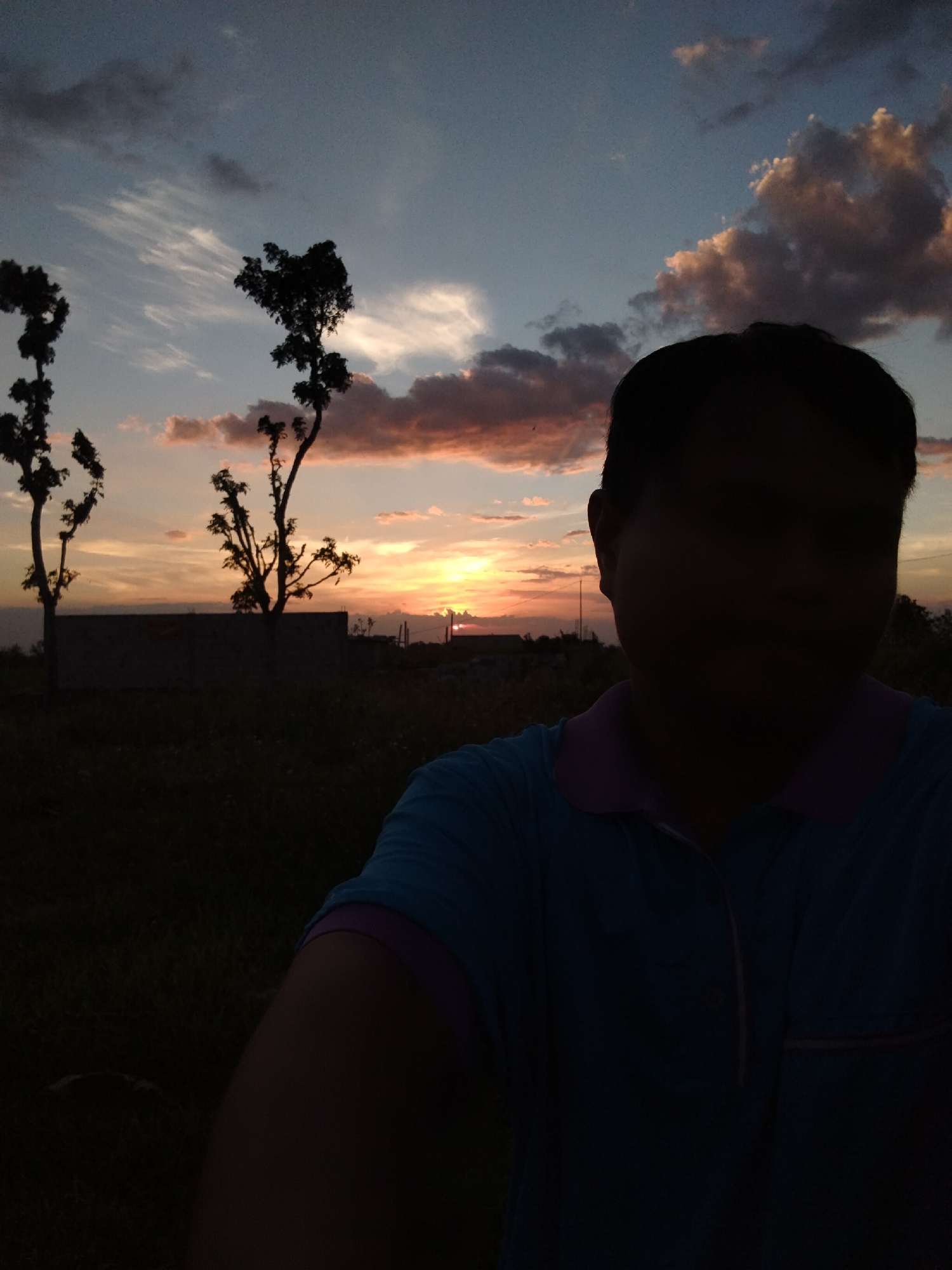 A person is taking a selfie at dusk. The person is wearing a blue shirt with a purple collar. In the background, there is a sunset visible between two silhouetted trees. A wall or building is also silhouetted in the background. The location is a field with grass.
