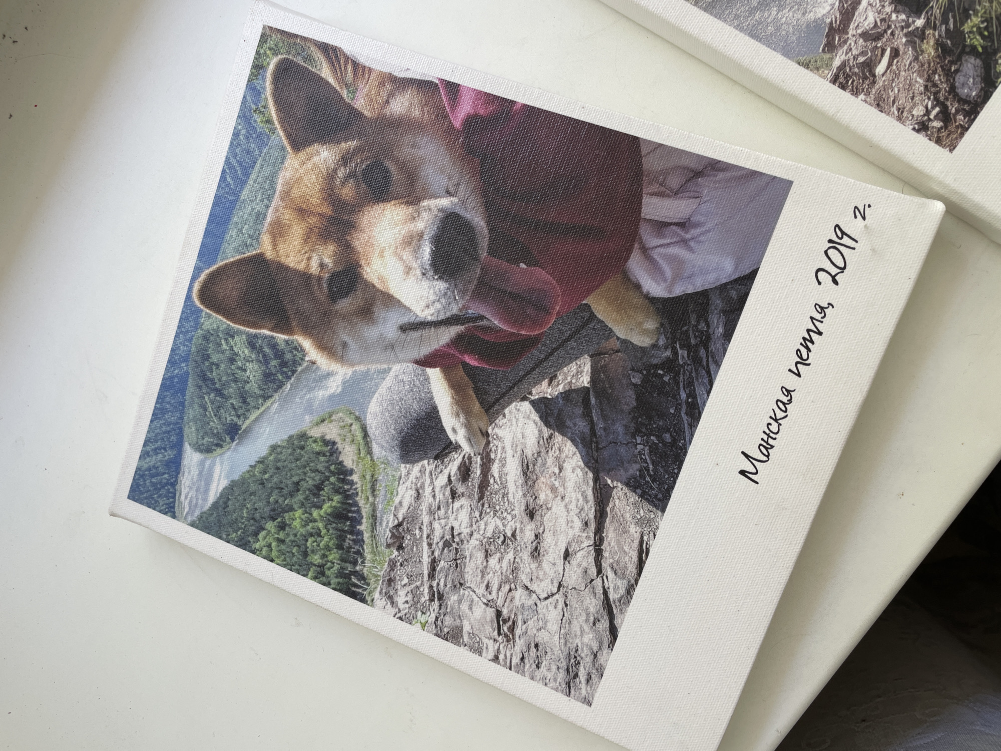 A close-up shot depicts a canvas print of a dog, possibly a Shiba Inu, extending its tongue towards the camera. The dog appears to be positioned on a rocky cliff, with a river and forested area visible in the background. Handwriting in Russian, "Манская петля, 2019 г." (Manskaya loop, 2019) is on the edge of the print. Manskaya loop is a landmark located near the city of Zheleznogorsk, Russia. The canvas print is resting on a white surface, with another similar canvas print partially visible in the upper right.