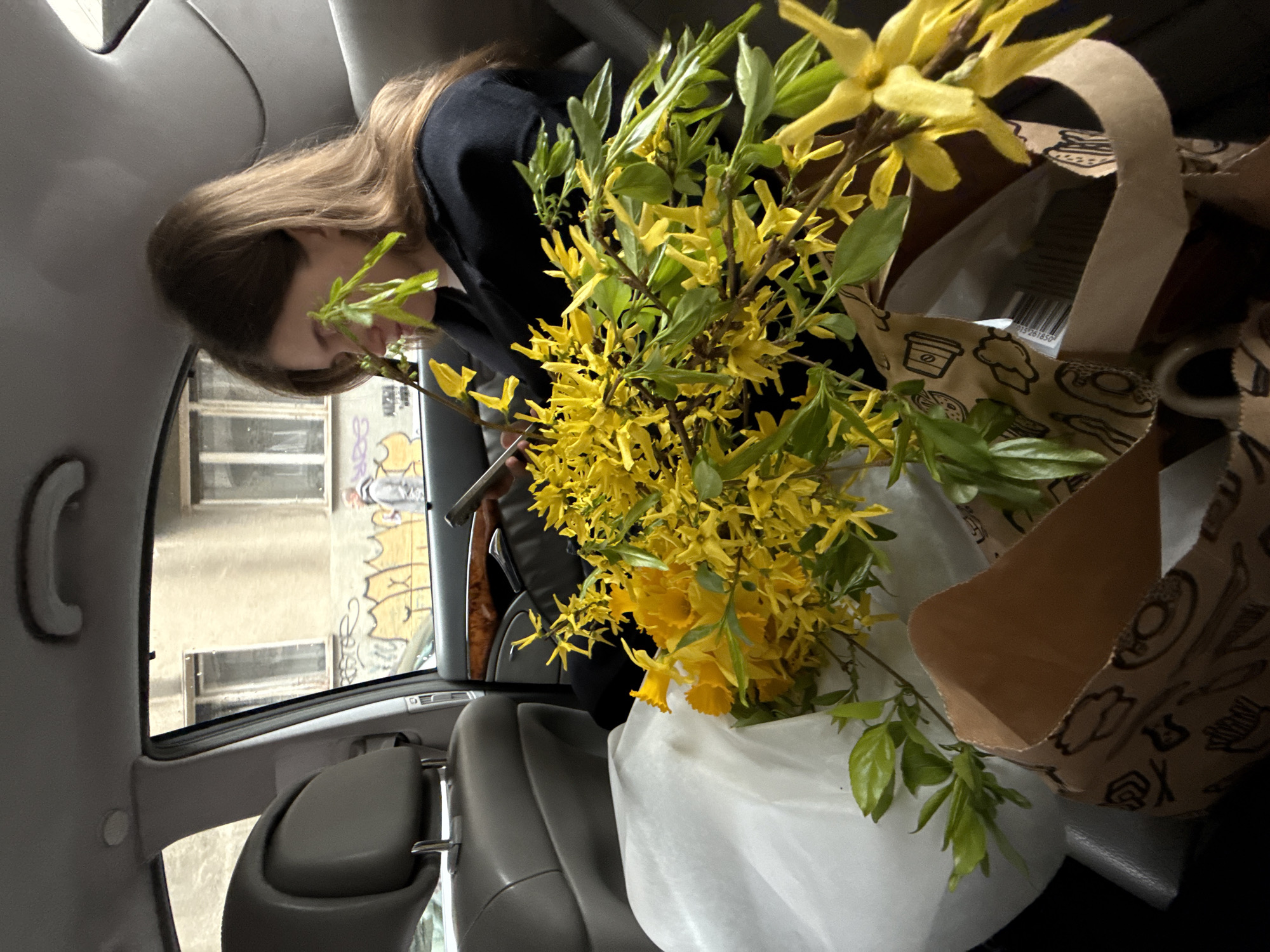 This image captures the interior of a vehicle's rear passenger compartment, oriented towards the front and the exterior street scene.
A female subject with long, light brown hair, dressed in a black long-sleeved top, occupies the rear passenger seat. Her head is tilted downwards, and she is engaged with a smartphone held in her hands. Her face is partially obscured by green foliage from a floral arrangement.
The rear seat and floor area are laden with items. A prominent, large floral arrangement consists of numerous bright yellow Forsythia branches, densely covered in blossoms, along with several yellow daffodils/narcissus flowers. This arrangement is partially wrapped in white tissue paper. Adjacent to the flowers are at least two brown paper bags with handles, patterned with black outline illustrations of food items such as a coffee cup, burger, and fries. One bag is open, revealing a white item with a visible barcode "037281650" inside. The vehicle's interior features gray leather seats with headrests and dark wood-grain trim on the door panels.
Through the passenger window, an urban street environment in Belgrade, Serbia, is visible. The background features a multi-story building with a worn, light-colored (beige/cream) facade and multiple windows. The lower portion of the building's wall is covered in extensive yellow and black graffiti, which includes stylized, blob-like figures and text that appears to read "ROSTOR". A male pedestrian, wearing a light gray hooded jacket, is observed walking on the sidewalk in front of the graffiti-covered wall, facing away from the viewer. The sky appears overcast.