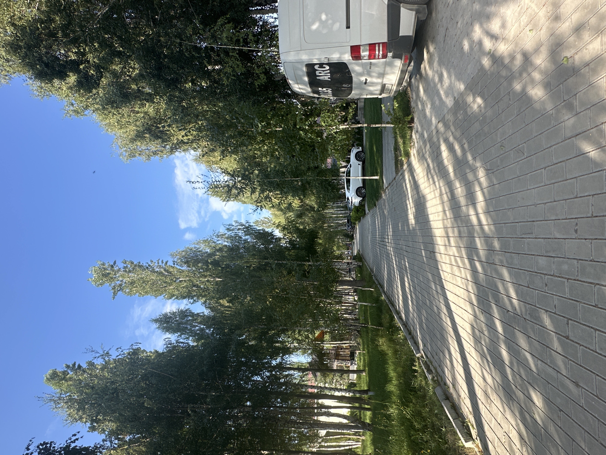 The image depicts a paved pedestrian walkway lined with tall, slender trees on both sides, creating a tree-lined avenue. The walkway is constructed of light gray rectangular paving stones, with sunlight casting dappled shadows across its surface. To the left of the walkway, there is a grassy area with more trees and some low-lying vegetation, leading to buildings in the background that appear to be houses or other structures. To the right of the walkway, a white van with the partial text "ARC" visible on its rear window is parked. Further down the walkway, a white car is also visible. The sky above is clear and blue with a few wispy clouds. The scene appears to be a park or a residential area in Grigorevka, Kyrgyzstan, during daylight hours.