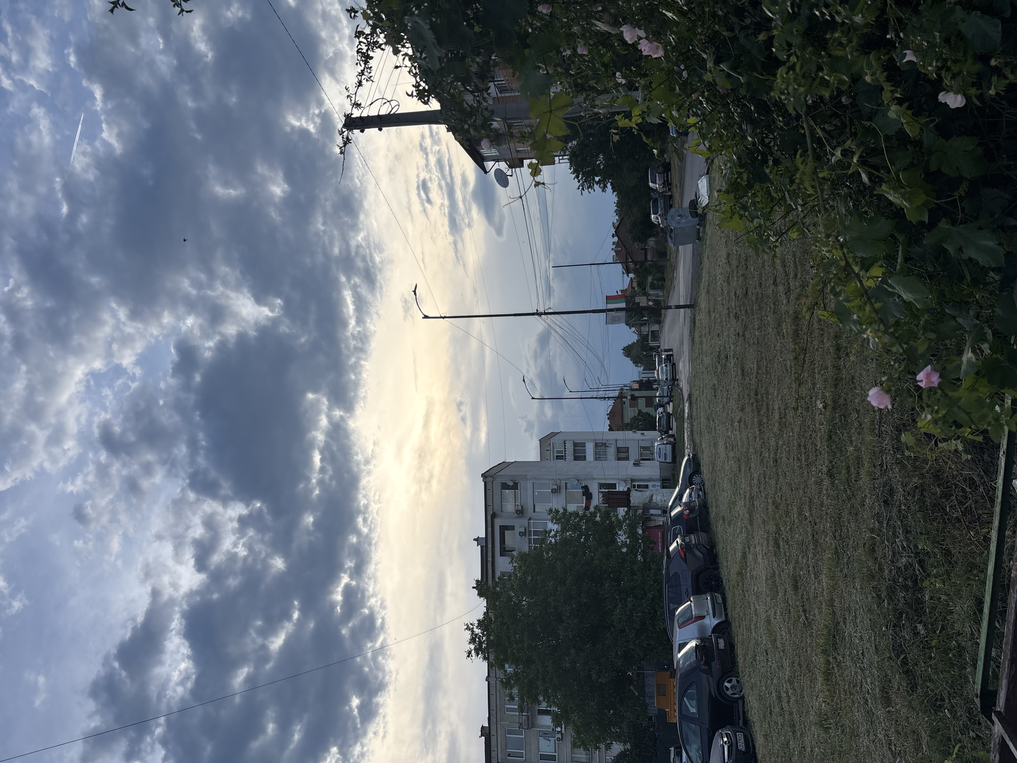 This image depicts a residential street scene in Elin Pelin, Bulgaria, under an overcast sky. The sky is dominated by large, grey clouds with brighter patches where sunlight is diffused, suggesting a daytime setting, possibly late afternoon. A faint jet contrail is visible in the upper left, and a small bird is silhouetted against the clouds.
In the midground, a paved road extends into the distance, lined with numerous parked cars. Utility poles with an intricate network of power lines and streetlights run along the street. To the left of the road, multi-story residential buildings, likely apartment blocks, are visible, partially obscured by trees. These buildings feature balconies and external air conditioning units. A notable detail is a Bulgarian flag (white, green, and red horizontal stripes) displayed on a building further down the street, confirming the location context.
The right side of the frame is occupied by a wide, grassy area with some sparser patches. Along the immediate right edge and extending into the foreground, there is dense foliage from bushes and trees, adorned with scattered pink flowers. This greenery provides a natural border to the scene.
The overall atmosphere is quiet, with no overt human activity visible beyond the parked vehicles. The light is soft and diffused, characteristic of a cloudy day. There is no clearly legible text other than the national flag.