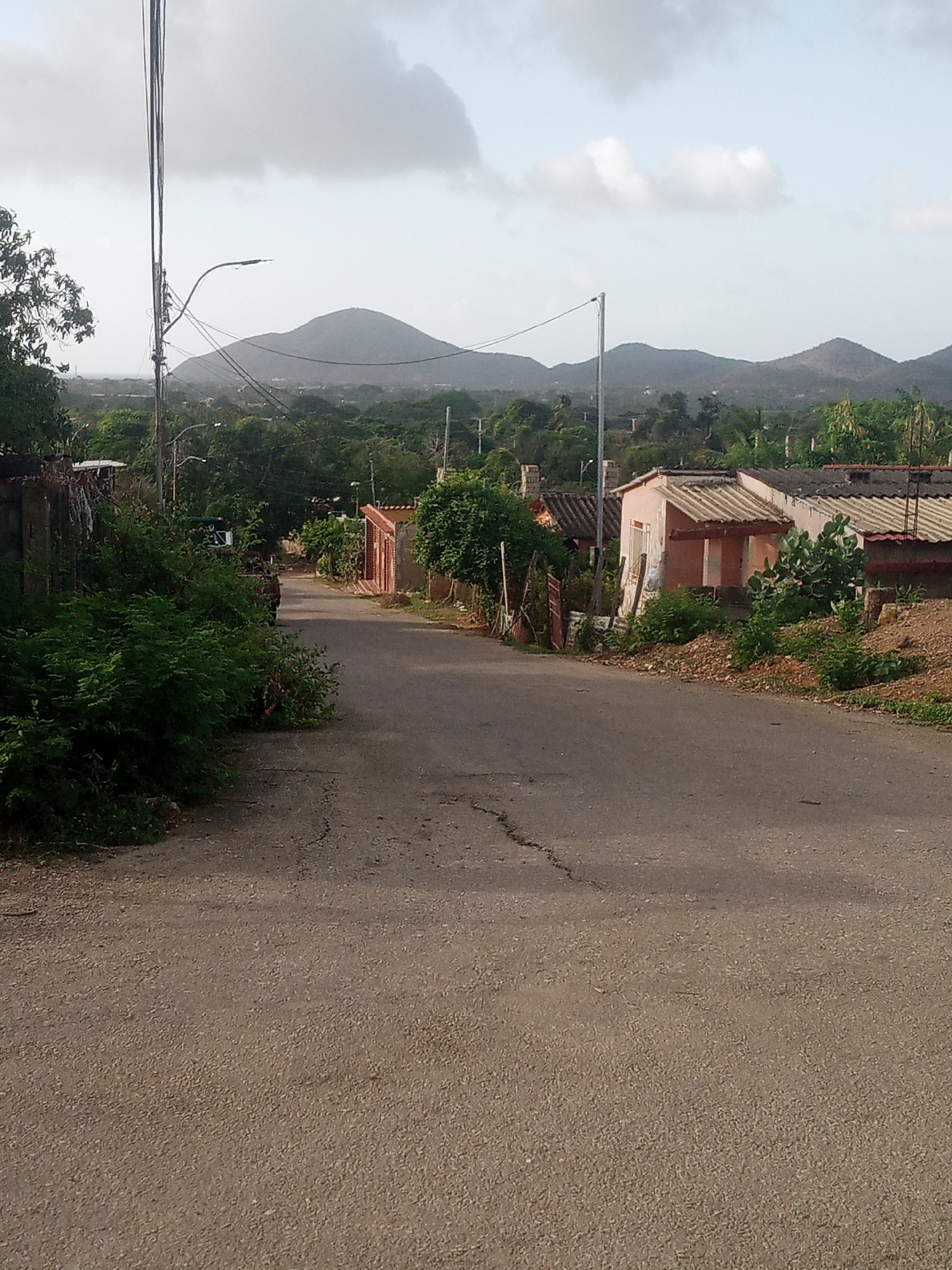 The image shows a rural road in La Tagua, Venezuela, with a mountainous landscape in the background under a cloudy sky. The road appears to be asphalt with some cracks and is lined with vegetation and small houses. On the left side of the road, dense green bushes are prominent, obscuring parts of a wall and a utility pole with wires. A utility pole with a street light is also visible on the left. Further down the road, on the right, there are several single-story houses with corrugated roofs. One house is pink with a white trim around the windows and doors. Another house has a brick-like facade with a metal grate. The houses are surrounded by green trees and some dry brush. In the distance, rolling hills and mountains are visible, with the largest mountain in the center of the frame. The overall scene depicts a quiet, somewhat unkempt residential area in a tropical or subtropical environment.