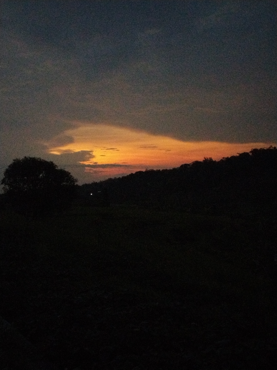 This is a twilight landscape photograph taken in Doplang, Indonesia, likely capturing a sunset. The scene is characterized by a dramatic sky and a deeply silhouetted natural foreground and mid-ground.
The sky occupies the majority of the frame, showcasing a striking gradient of colors. The upper sky is a dark, dusky blue-grey, heavily clouded. Below this, nearer the horizon, the sky erupts into vivid shades of orange, yellow, and reddish-pink, illuminated by the unseen setting sun. A prominent, irregularly shaped cloud formation directly above the horizon glows brightly with these warm colors.
The mid-ground is defined by the dark, undulating silhouette of hills or mountains, densely covered with trees. This dark, forested ridge stretches across the entire width of the image, sharply contrasting with the bright horizon. On the far left, a large, standalone tree stands as a distinct, rounded silhouette against the glowing sky.
The foreground is almost entirely black, rendered in deep shadow, obscuring any specific details of the terrain, which appears to be an open field or uncultivated land. A very faint, small pinpoint of light is visible within the dark area on the left side, slightly above the horizon, possibly indicating a distant light source from human habitation.
The photograph captures a peaceful and serene moment, emphasizing the natural beauty of the landscape during the transition from day to night. There are no visible people, animals, specific man-made objects (apart from the subtle distant light), or any discernible text within the image.