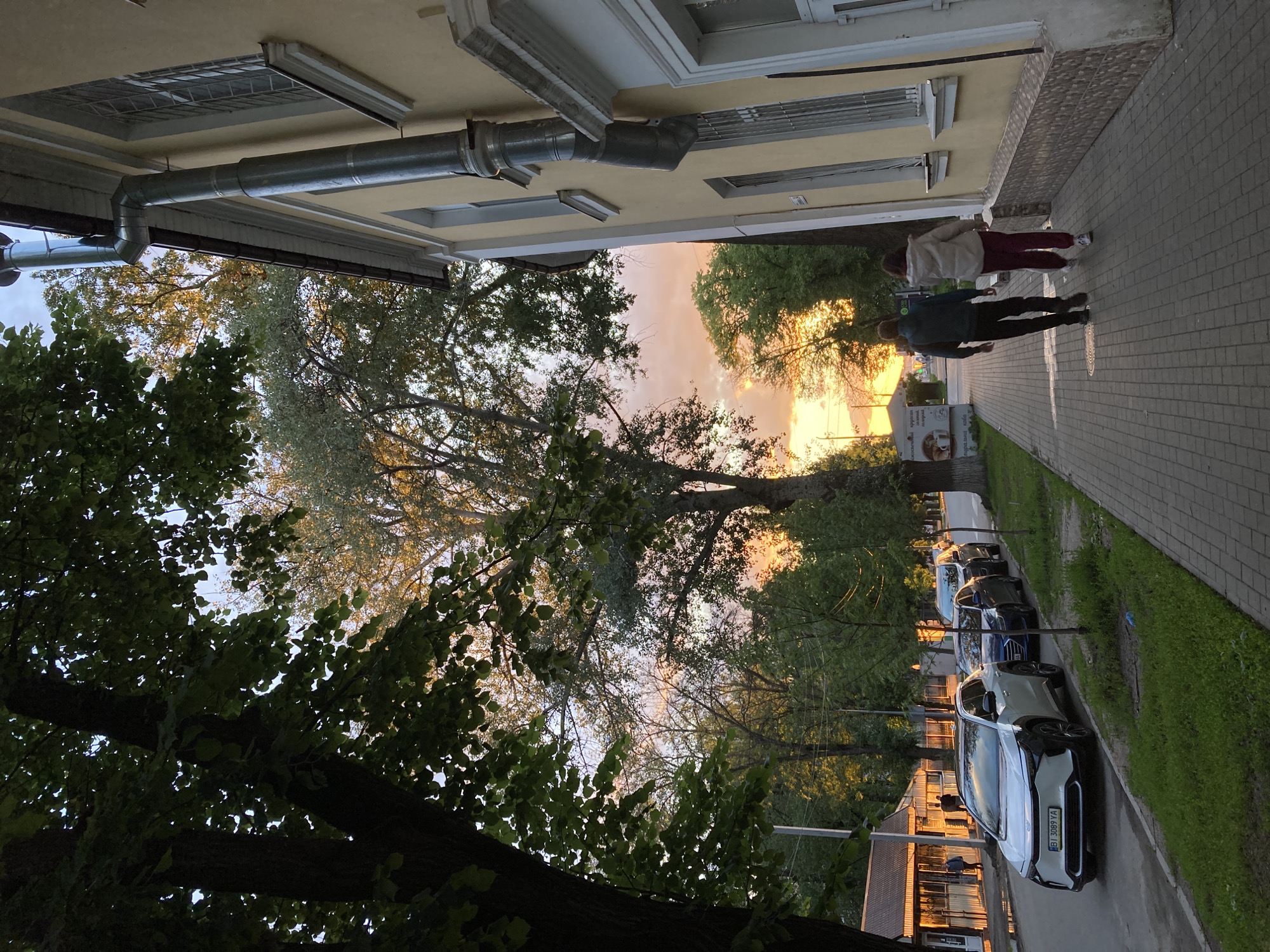 This image depicts a street scene in Poltava, Ukraine, at sunset or during the golden hour. The sky is filled with warm hues of orange, pink, and yellow, visible through the dense, leafy canopy of numerous trees.
On the left side, a section of a light yellow building with white architectural trim around its windows and a gray metal downspout system is partially visible. The building features multiple rectangular windows, some with external grates.
In the middle ground, a paved sidewalk runs parallel to the building. Two individuals are walking away from the camera along this sidewalk. One person wears a light-colored top and dark pants, while the other wears darker attire.
To the right of the sidewalk, a narrow strip of green grass separates it from a street where several cars are parked. A white car in the foreground clearly displays a Ukrainian license plate, "BI 3089 YA," confirming the location in Poltava Oblast. Further down the street, additional parked cars are visible.
Amidst the trees and on the sidewalk, a small advertising stand is present. Visible Cyrillic text on it includes "КАВА" (Coffee) and "З СОБОЮ" (Takeaway), indicating a coffee stand, possibly offering "свежообжаренный кофе" (freshly roasted coffee).
The scene conveys a peaceful urban evening, with the soft, warm light of the setting sun casting long shadows and illuminating the trees and parts of the architecture.