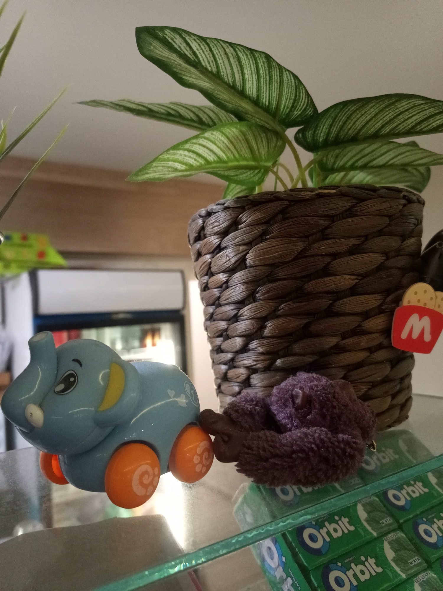 A close-up, slightly tilted shot focuses on a collection of small objects on a glass shelf. In the foreground, a bright blue toy elephant with orange wheels is positioned to the left. Beside it, a small, fluffy purple toy is curled up. Behind these toys, a woven basket holds a lush green plant with striped leaves. To the right of the plant, a small red keychain featuring the McDonald's logo and french fries is attached to something out of frame.
Below the toys and plant, several packages of green Orbit gum are stacked. The packaging clearly displays the "Orbit" logo and the word "MINTA" in Russian, indicating "mint" and "sugar-free" ("БЕЗ ЦУКРУ"). The lighting suggests an indoor setting, possibly a shelf in a home or store, with a bright light source illuminating the scene from the front right. The overall impression is a still-life arrangement of decorative and playful items.